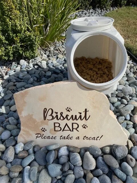 Outdoor pet biscuit station with a stone sign that reads "Biscuit BAR, Please take a treat!" and a white container filled with dog biscuits, surrounded by rocks and plants.