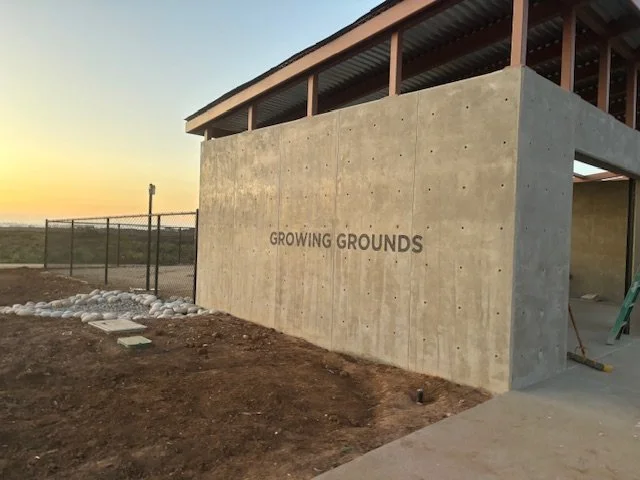 Concrete wall with the words 'GROWING GROUNDS' painted on it, part of a building under construction at sunset, with a chain-link fence and dirt ground in the foreground.