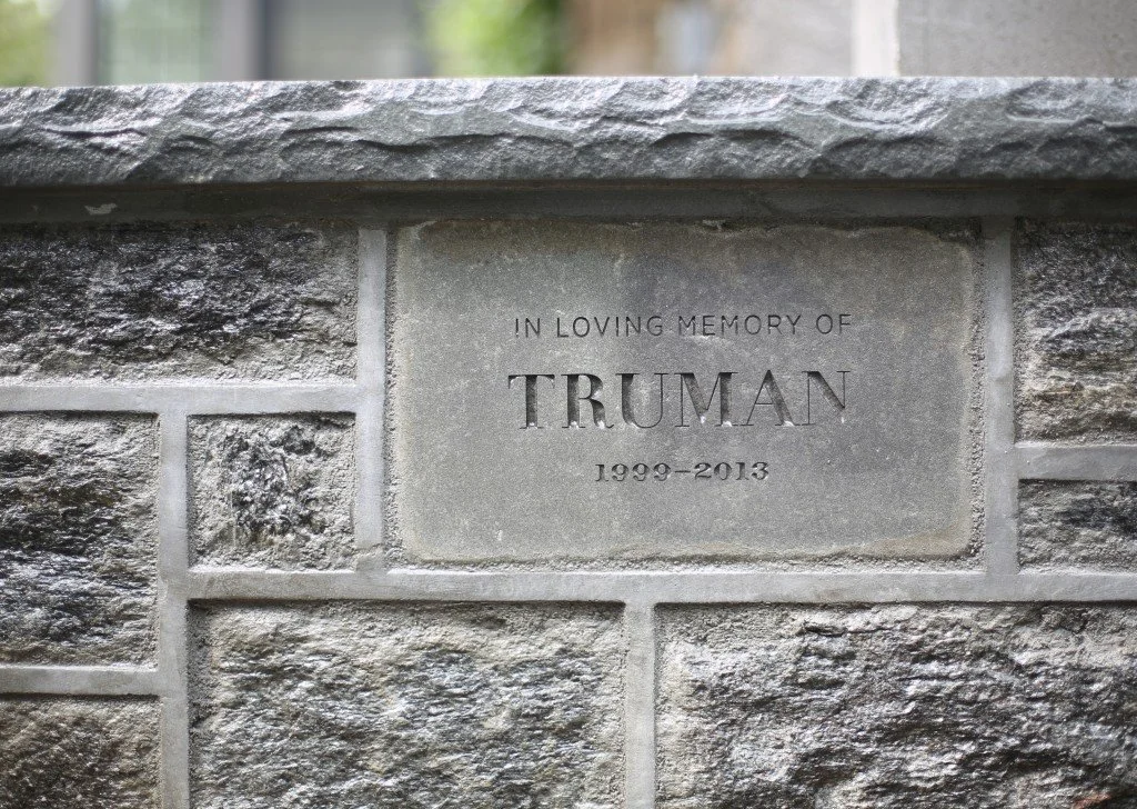 A memorial plaque engraved with the words 'In Loving Memory of Truman 1999-2013' on a stone wall.