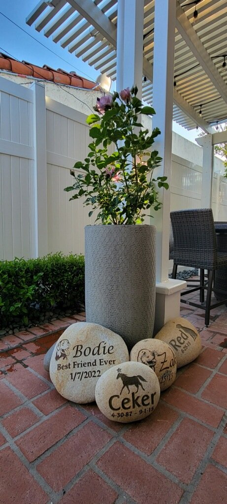 Outdoor patio with a potted flowering plant, four decorated rocks with pet names and birth dates, and outdoor furniture under a pergola.