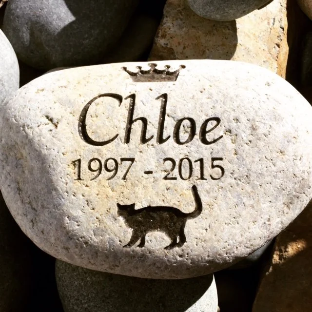 A carved stone memorial with the name Chloe, born in 1997 and passed away in 2015, featuring a crown and a dog silhouette.