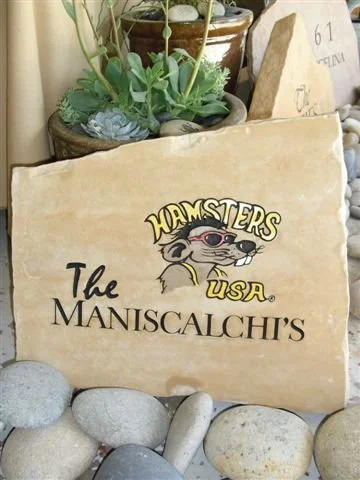 Decorative stone with a sign that reads 'The Maniscalchi's' and a cartoon raccoon face with sunglasses, the text 'Armsters USA' above and below.