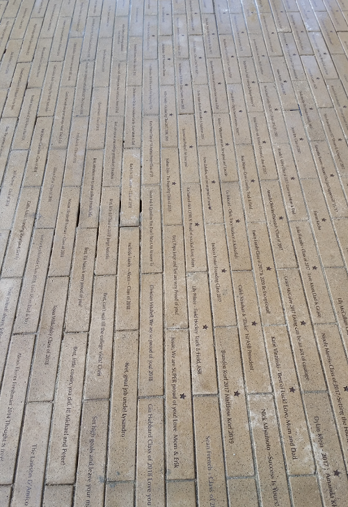 Concrete sidewalk engraved with numerous names and messages, arranged in rows.