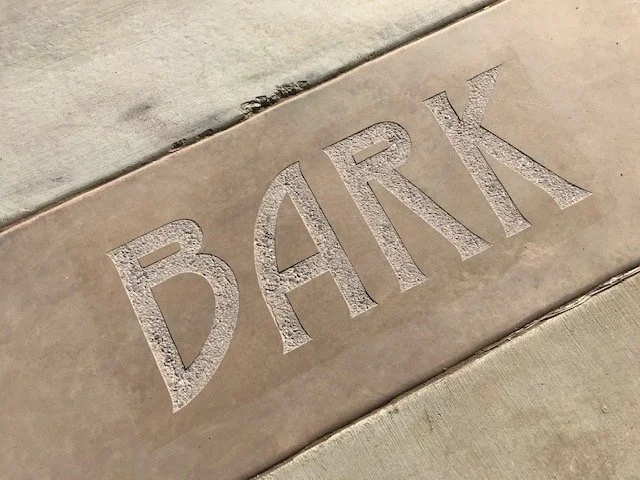 Close-up of concrete sidewalk with the word 'BANK' engraved in it.