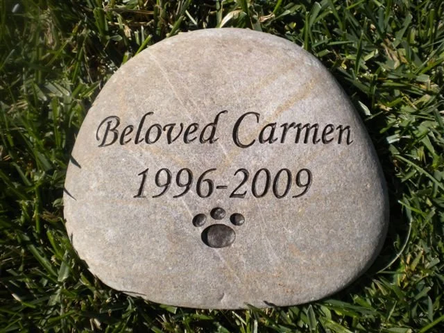 Gravestone with the inscription 'Beloved Carmen 1996-2009' and a paw print, surrounded by grass.