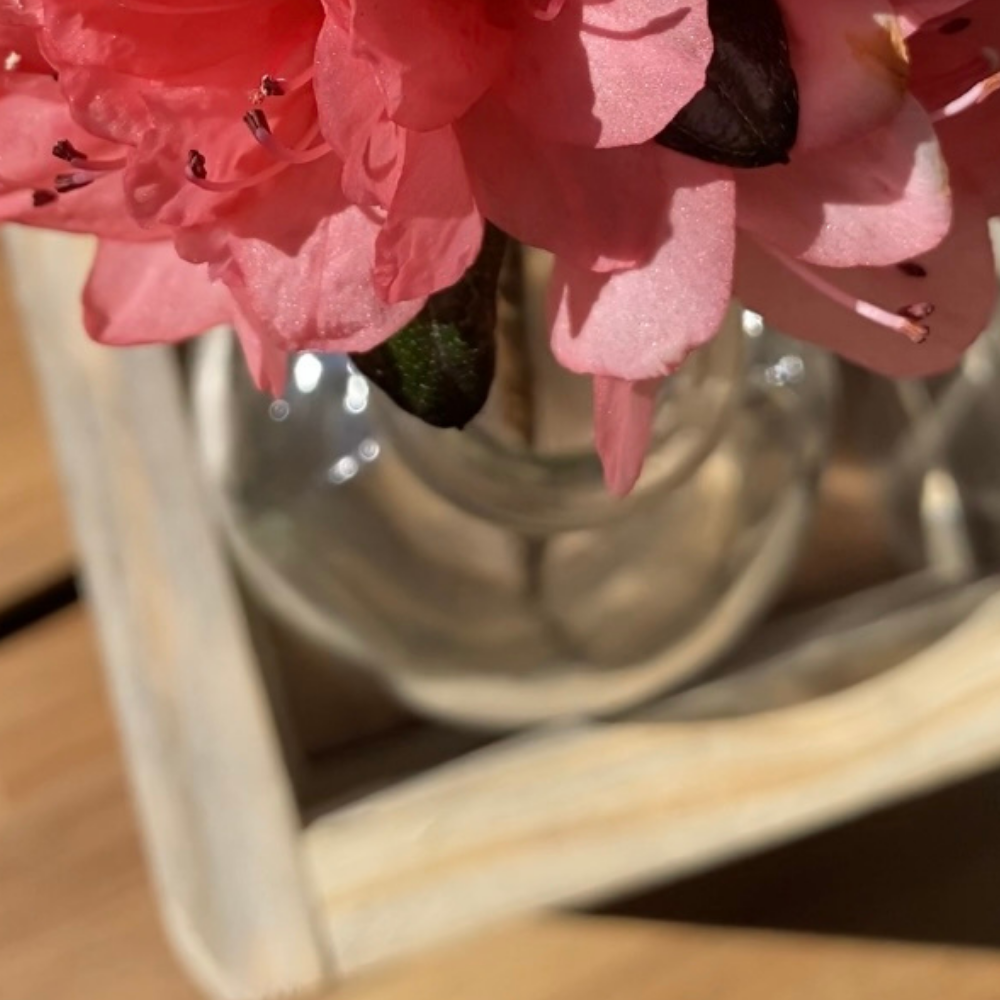 828E3A26-9DB2-406C-B476-B651458B703C.png