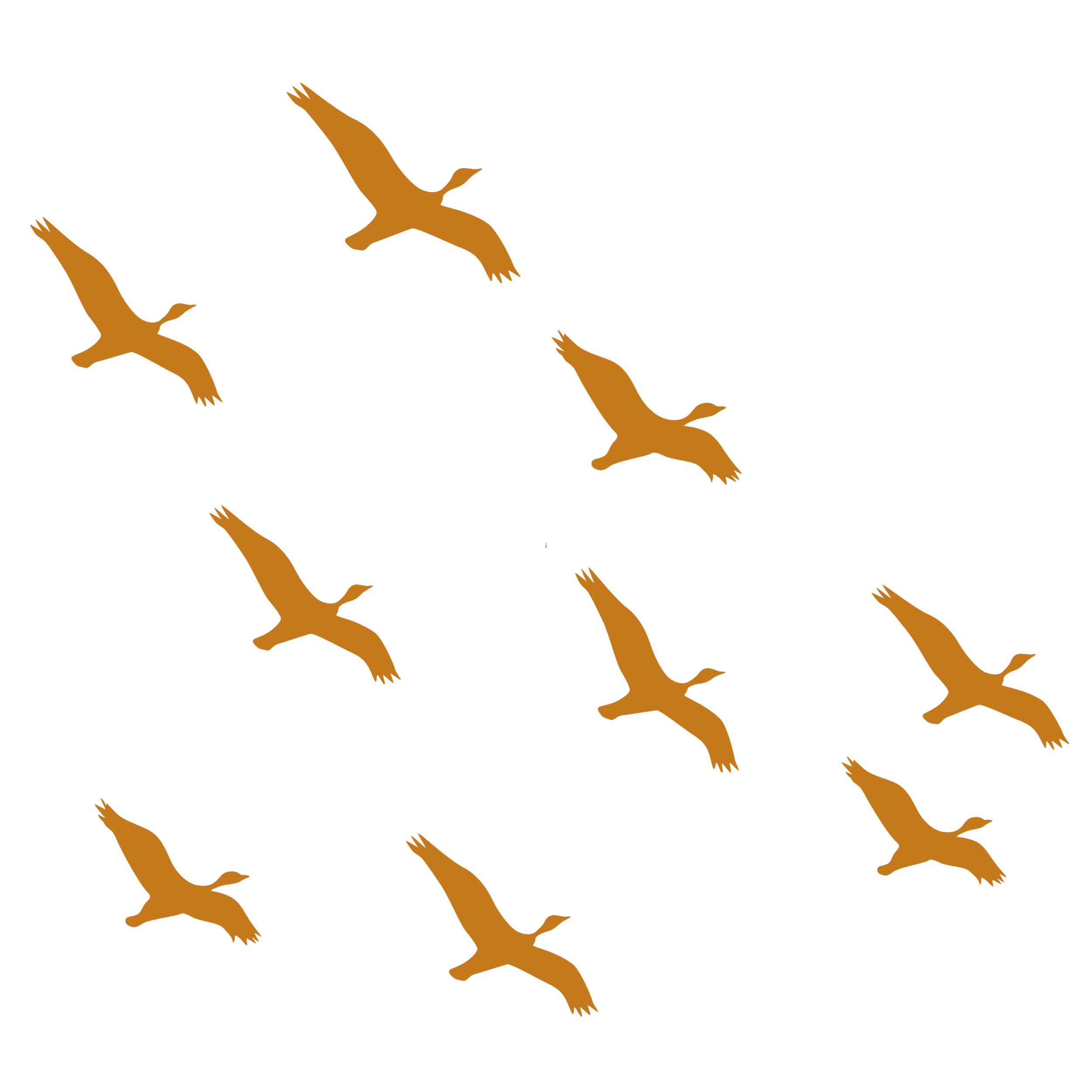 flatlay graphic of flying group of birds in orange