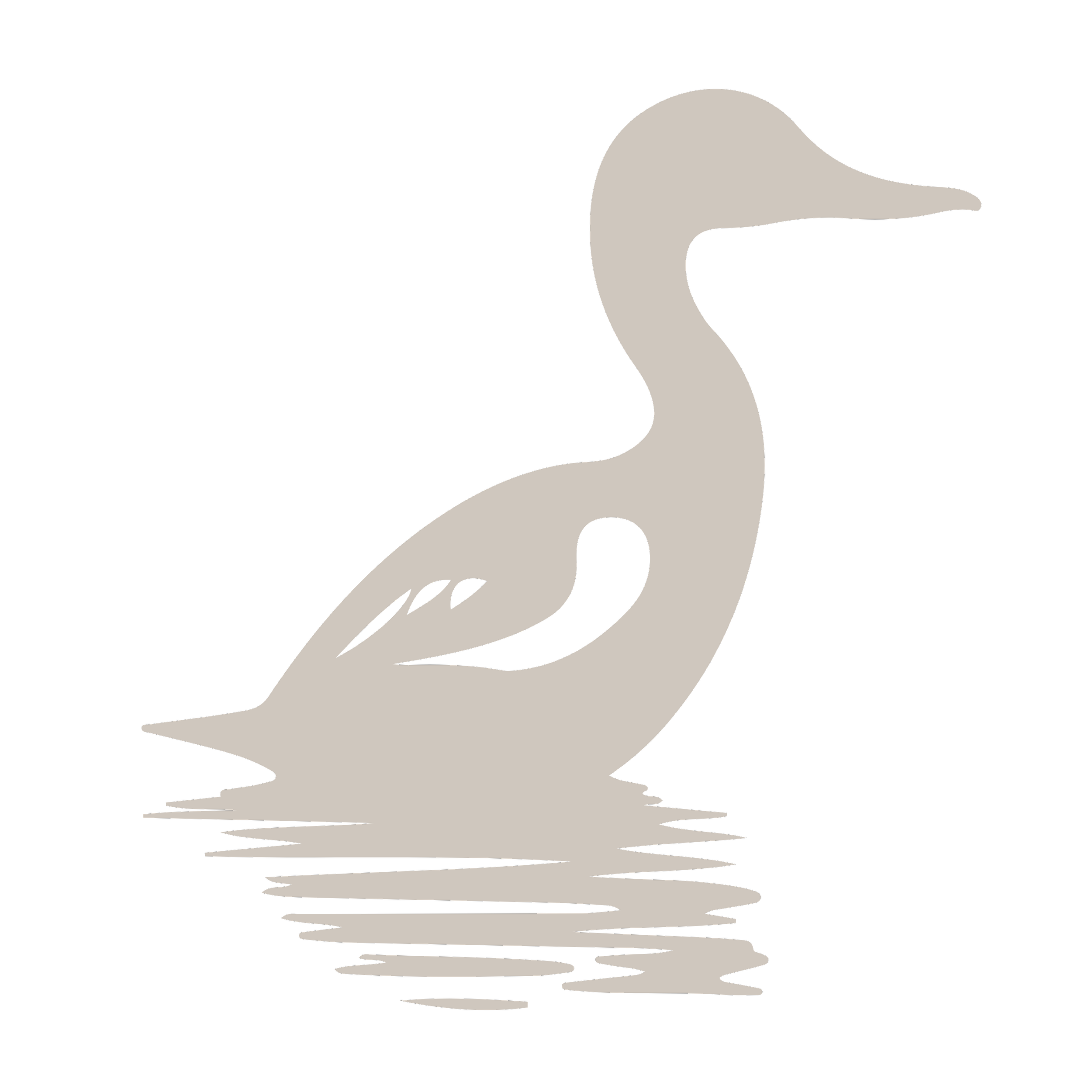 graphic flatlay of loon in water as a stand in image for waterbirds species list