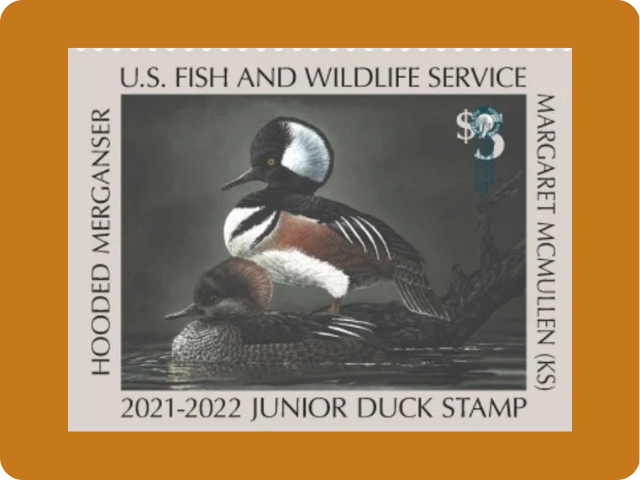 Alain Soltys-Gray of Juneau, Alaska Takes Top Honors in 2022 Junior Duck Stamp Contest