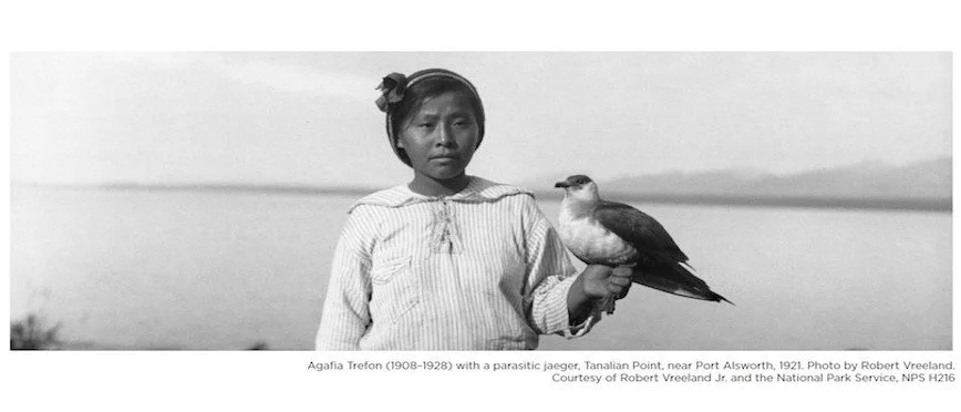 historic photo from 1921 of Agafia Trefon with a parasitic jaeger near port alsworth