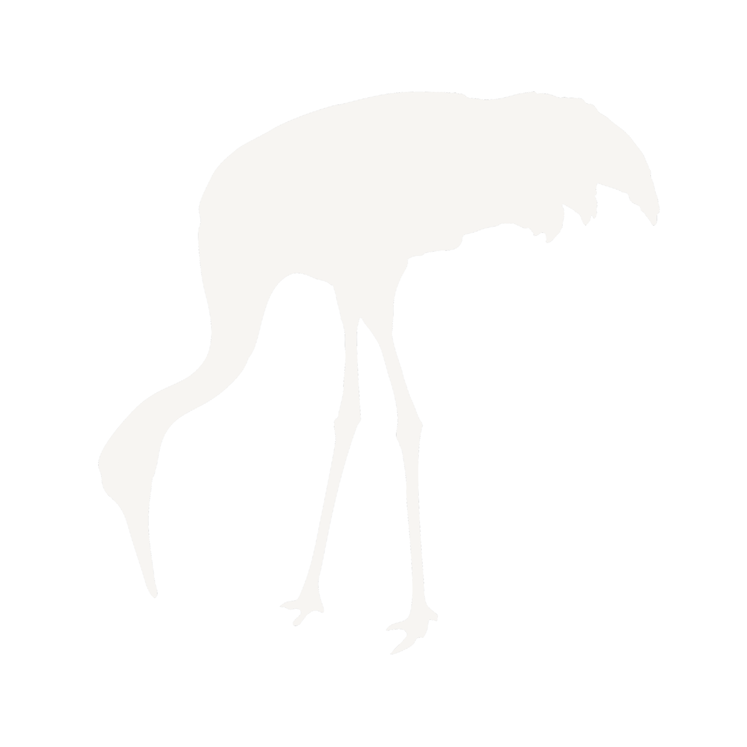 graphic flatlay of sandhill crane as a stand-in image