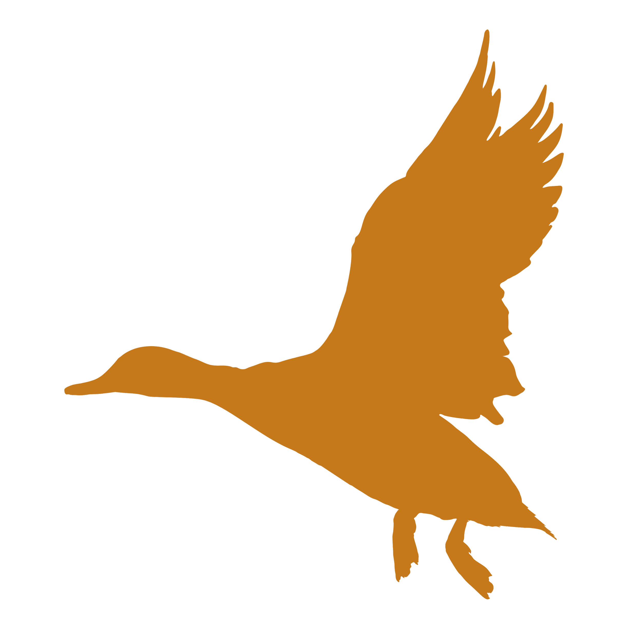 graphic flat lay of flying duck