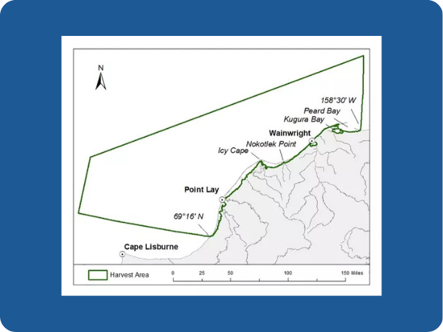 Special Black Brant Hunting Season 2026 regs map