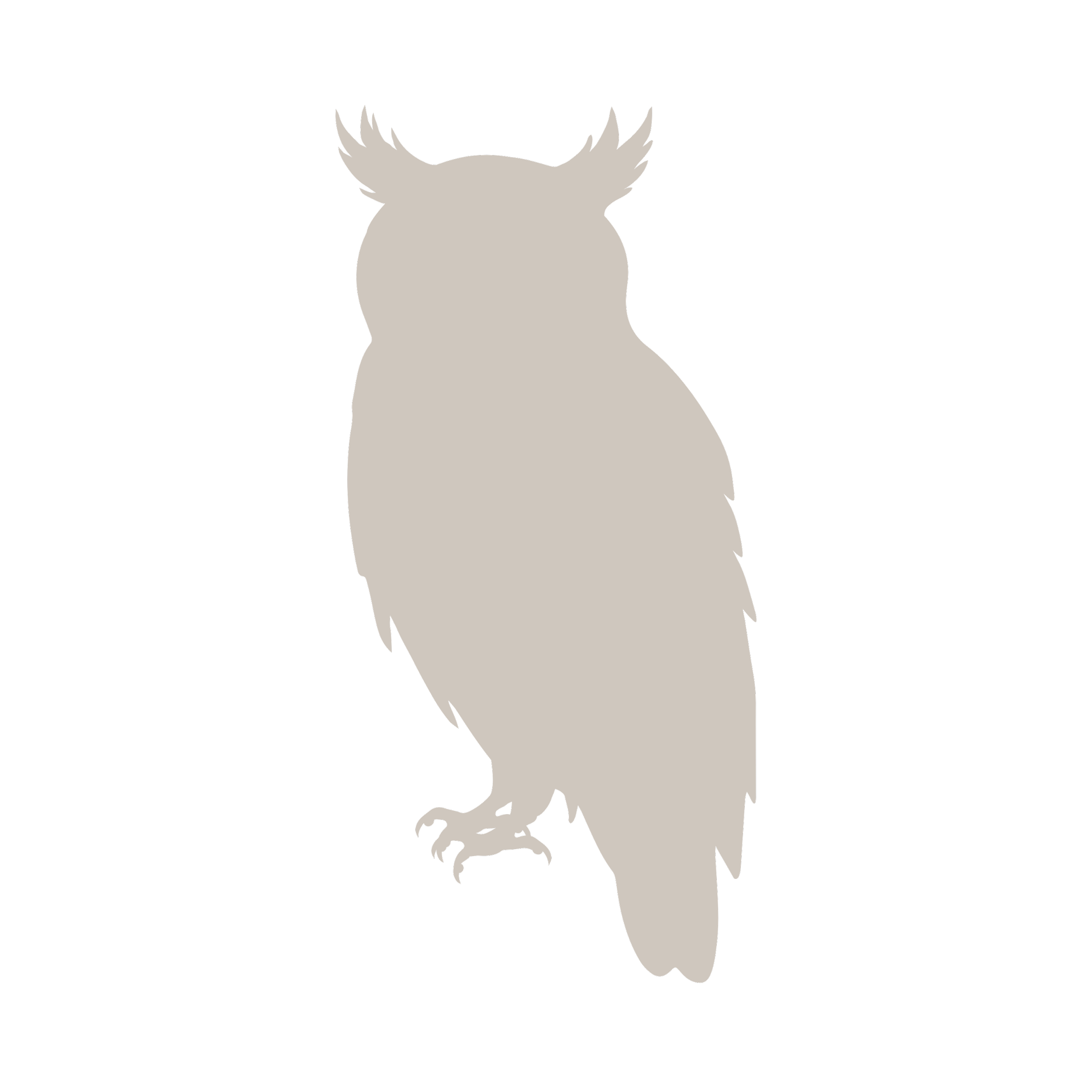 graphic flatlay of great horned owl as stand in image 