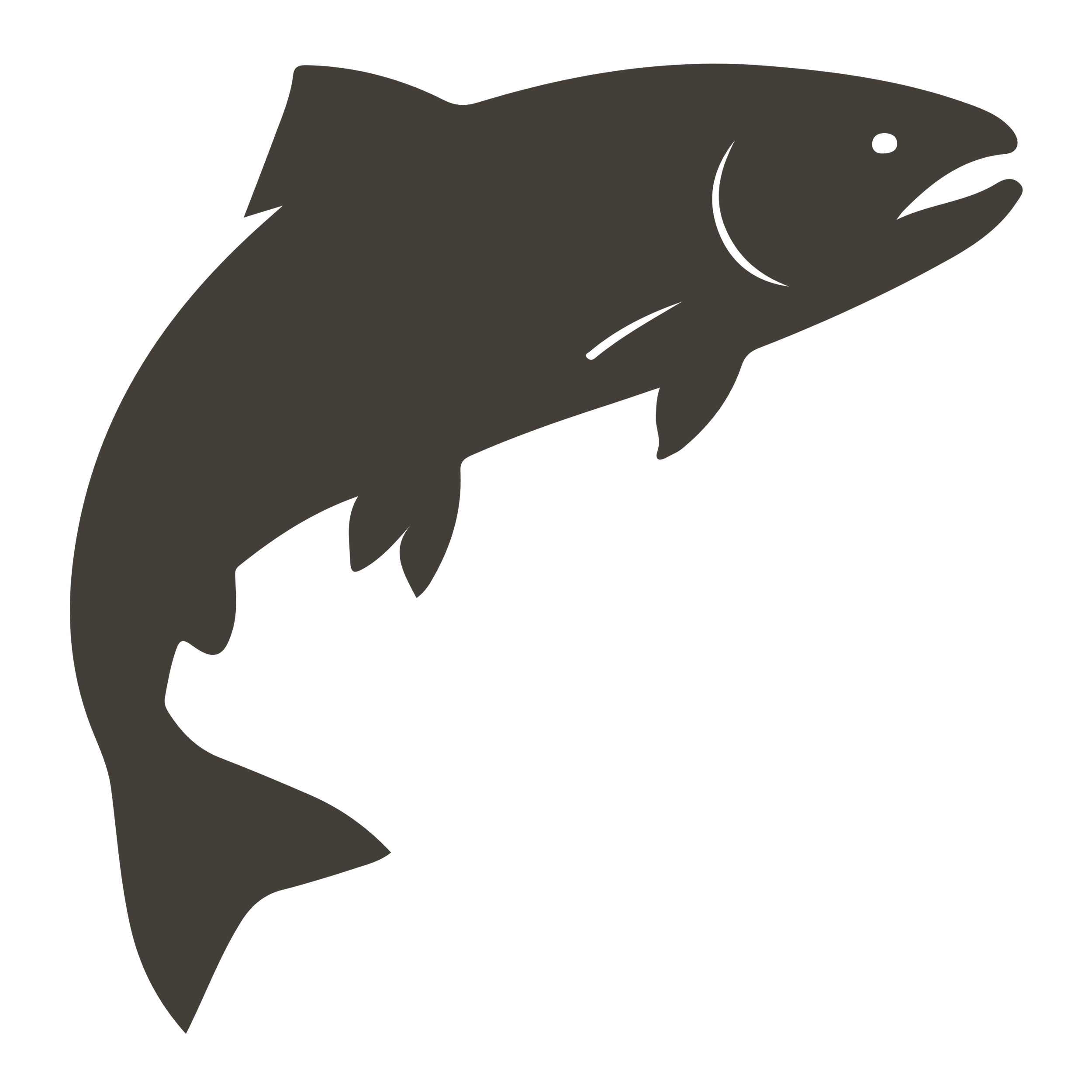 flatlay graphic of salmon in a gray color