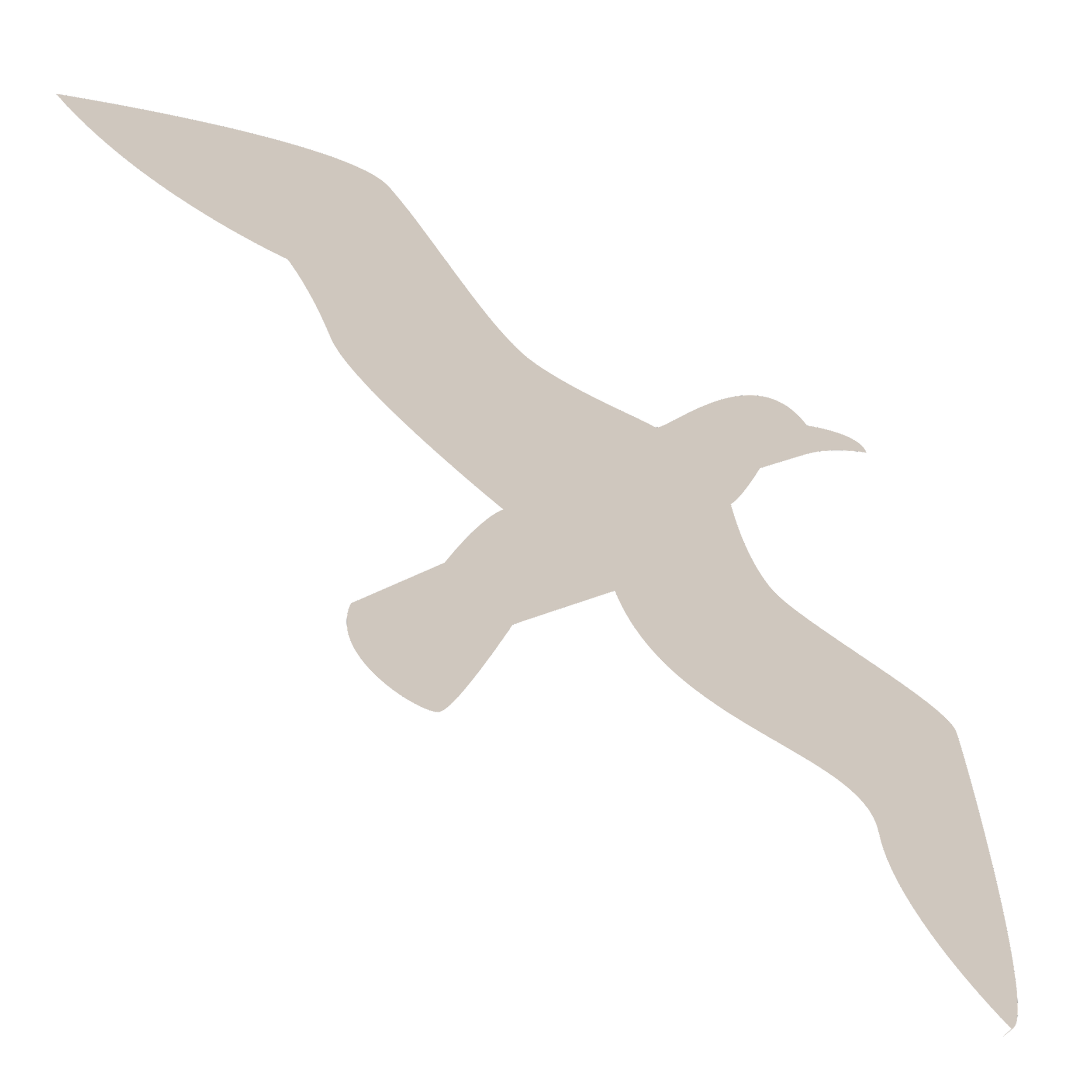 flatlay graphic of flying gull as stand in image for seabirds species list