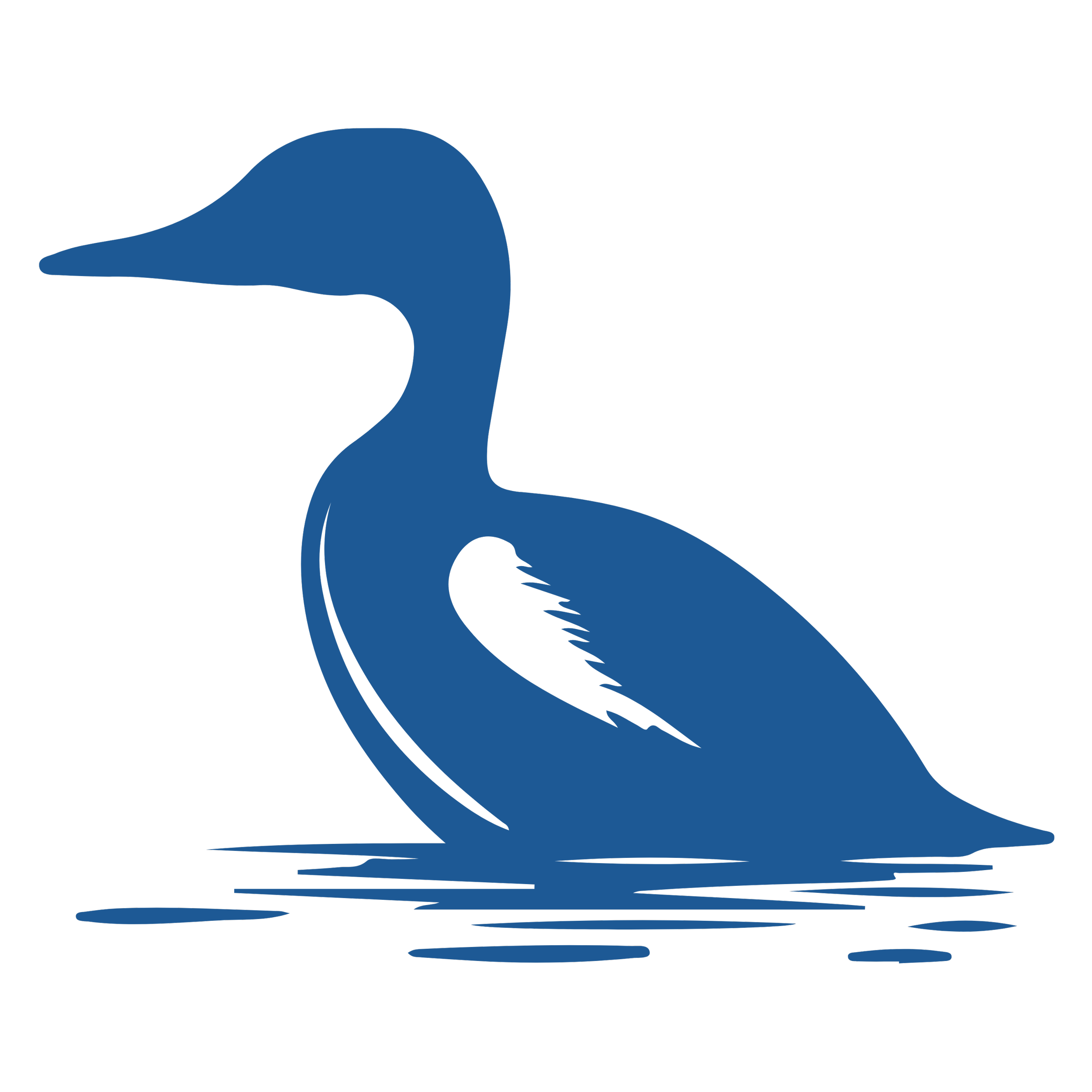 flatlay graphic of loon in water blue