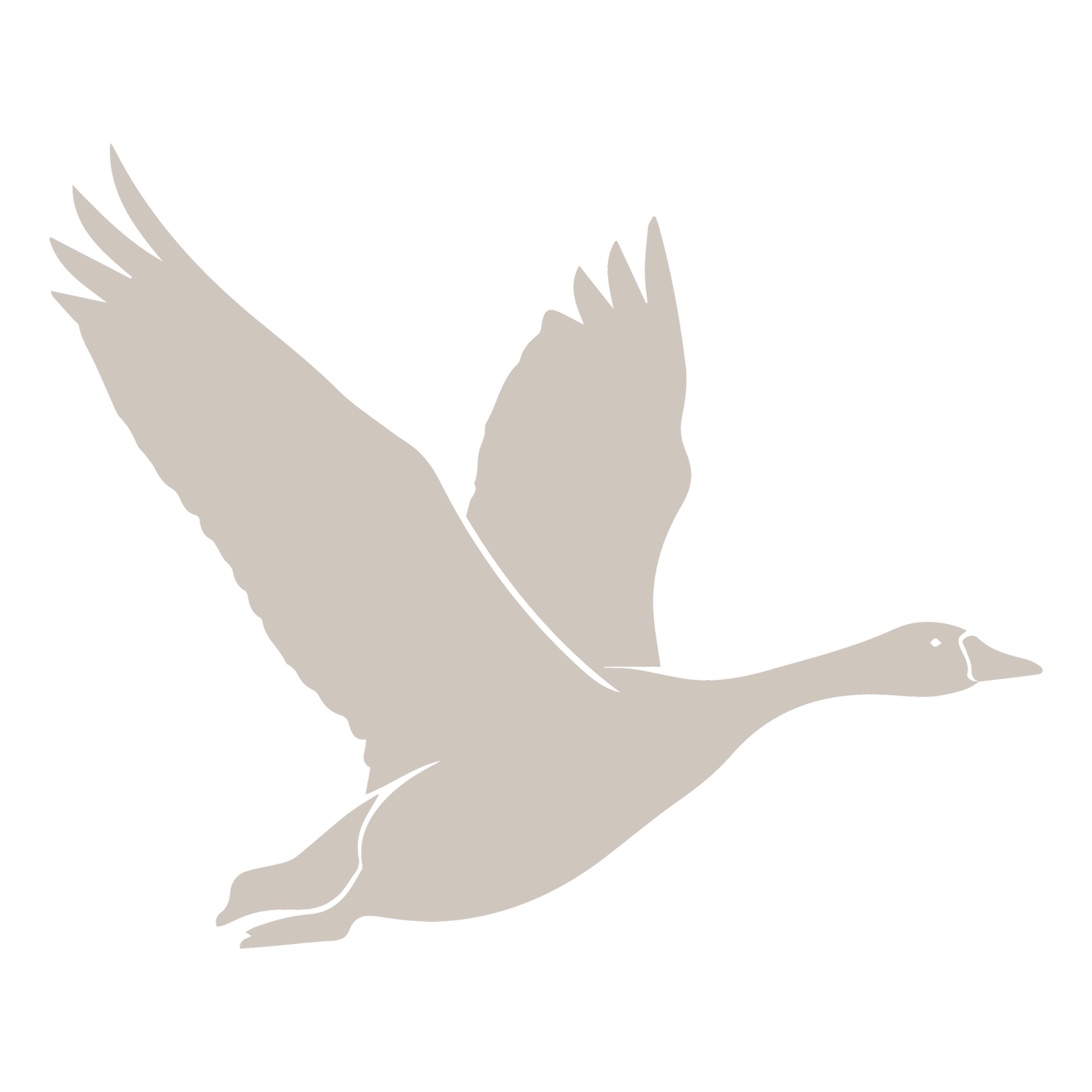 Flatlay graphic of goose flying as stand in for waterfowl species list image