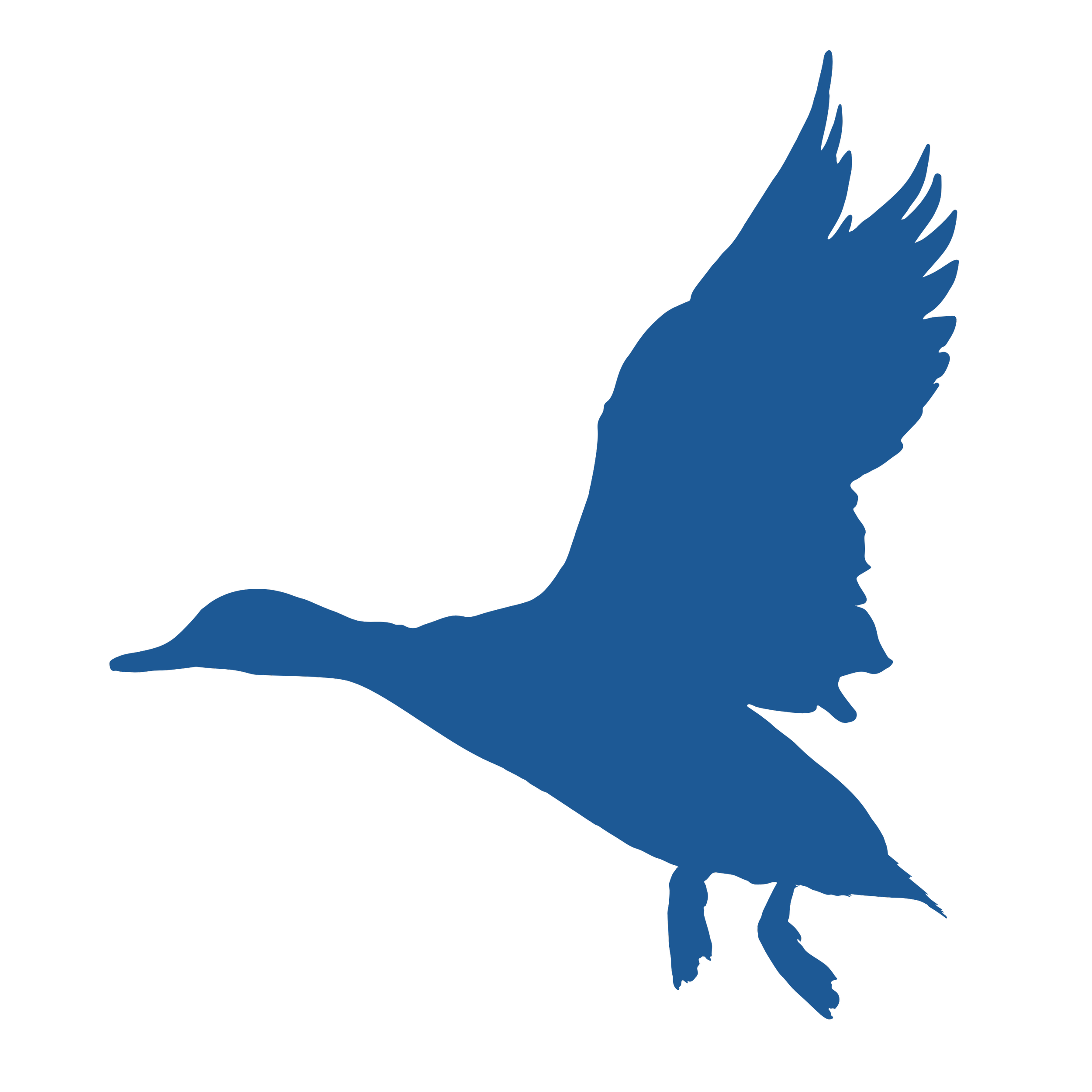 graphic flat lay of flying duck blue