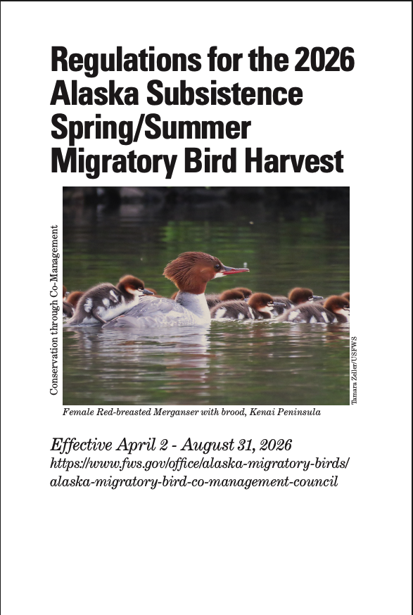 Image of the front cover for the regulations for the 2026 Alaska Subsistence Spring/Summer Migratory Bird Harvest Handbook