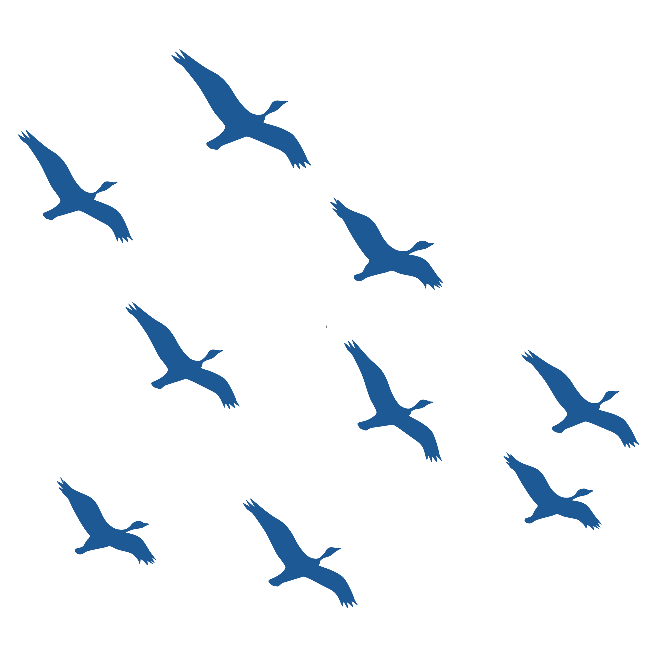 flatlay graphic of flying group of birds in blue