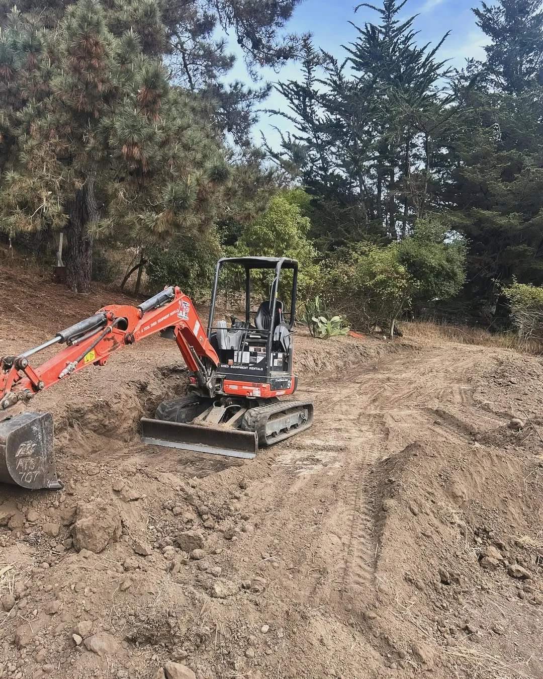 Small orange and black excavator on dirt in a forested area with trees and shrubs in the background.