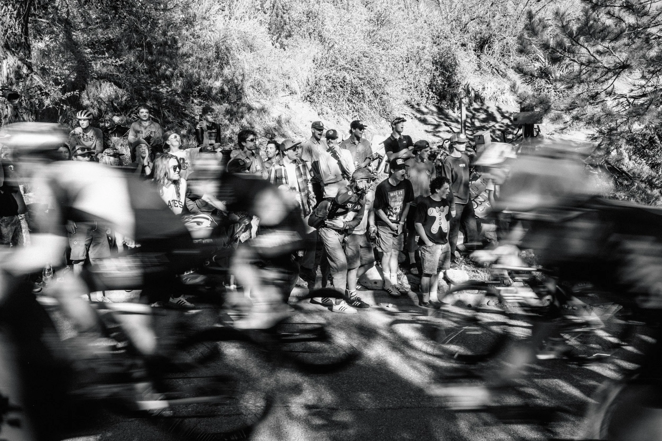 SQUAWKER CRIT 2026-b+w.jpg