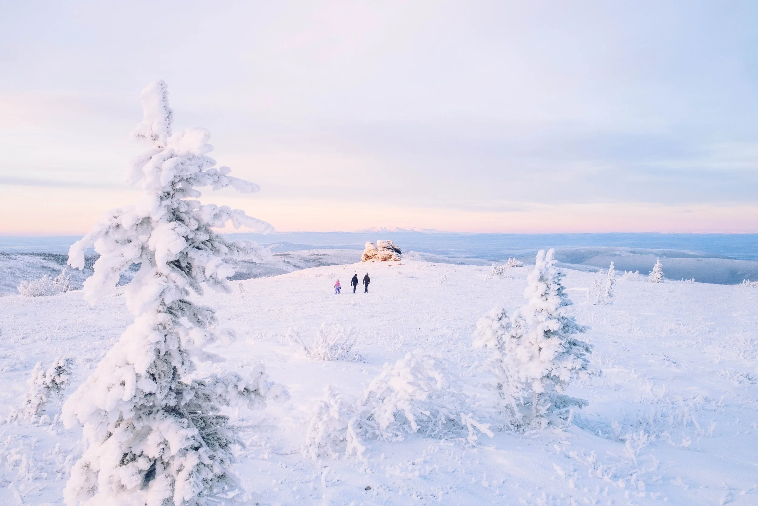 Snow-covered trees on a winter landscape with three people walking in the distance and a pastel-colored sky.