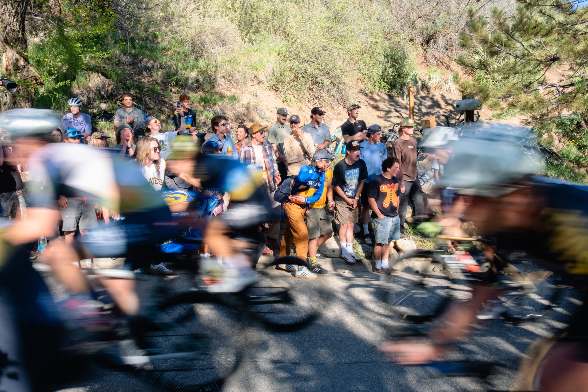 Squawker Classic Crit