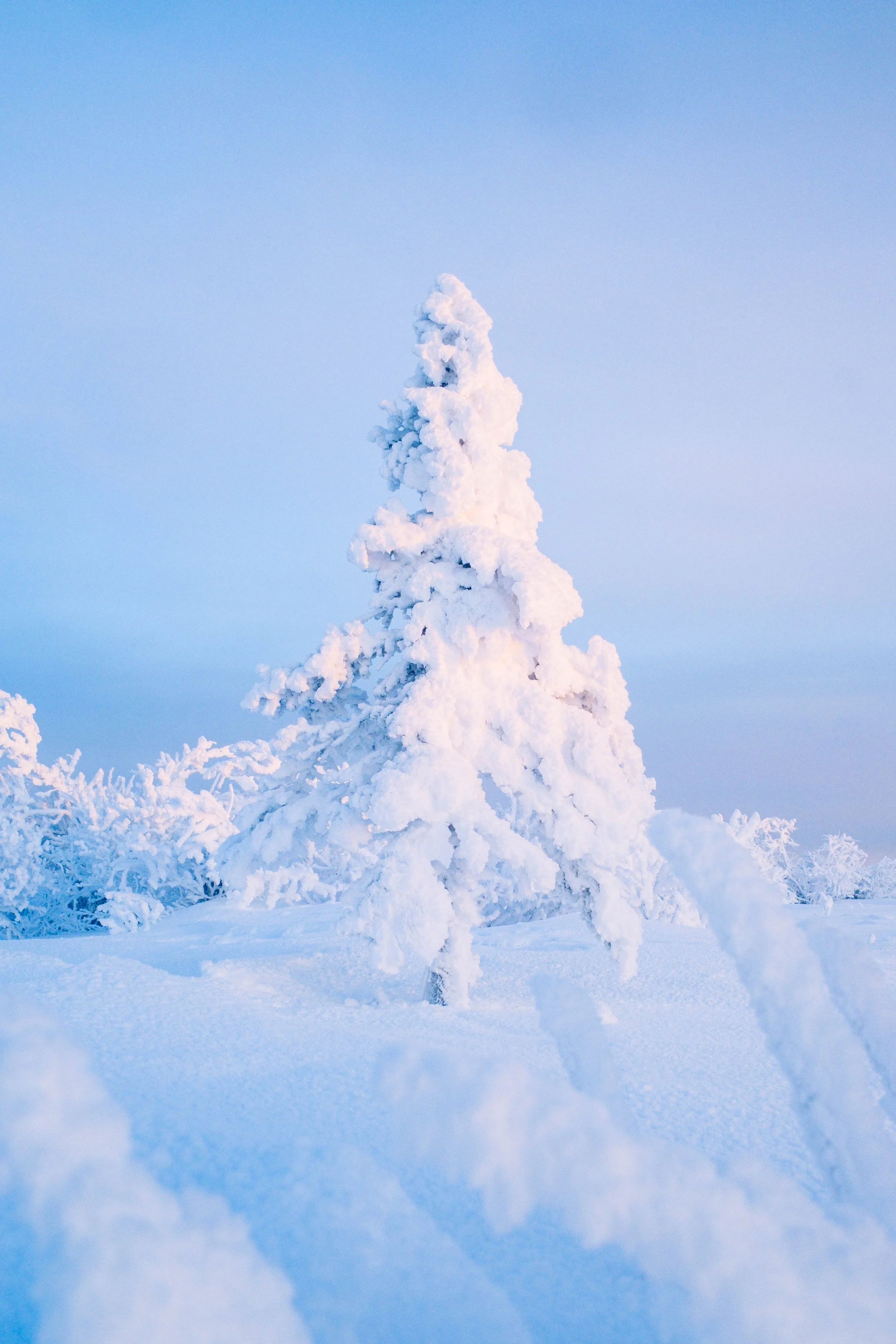 fairbanks alaska