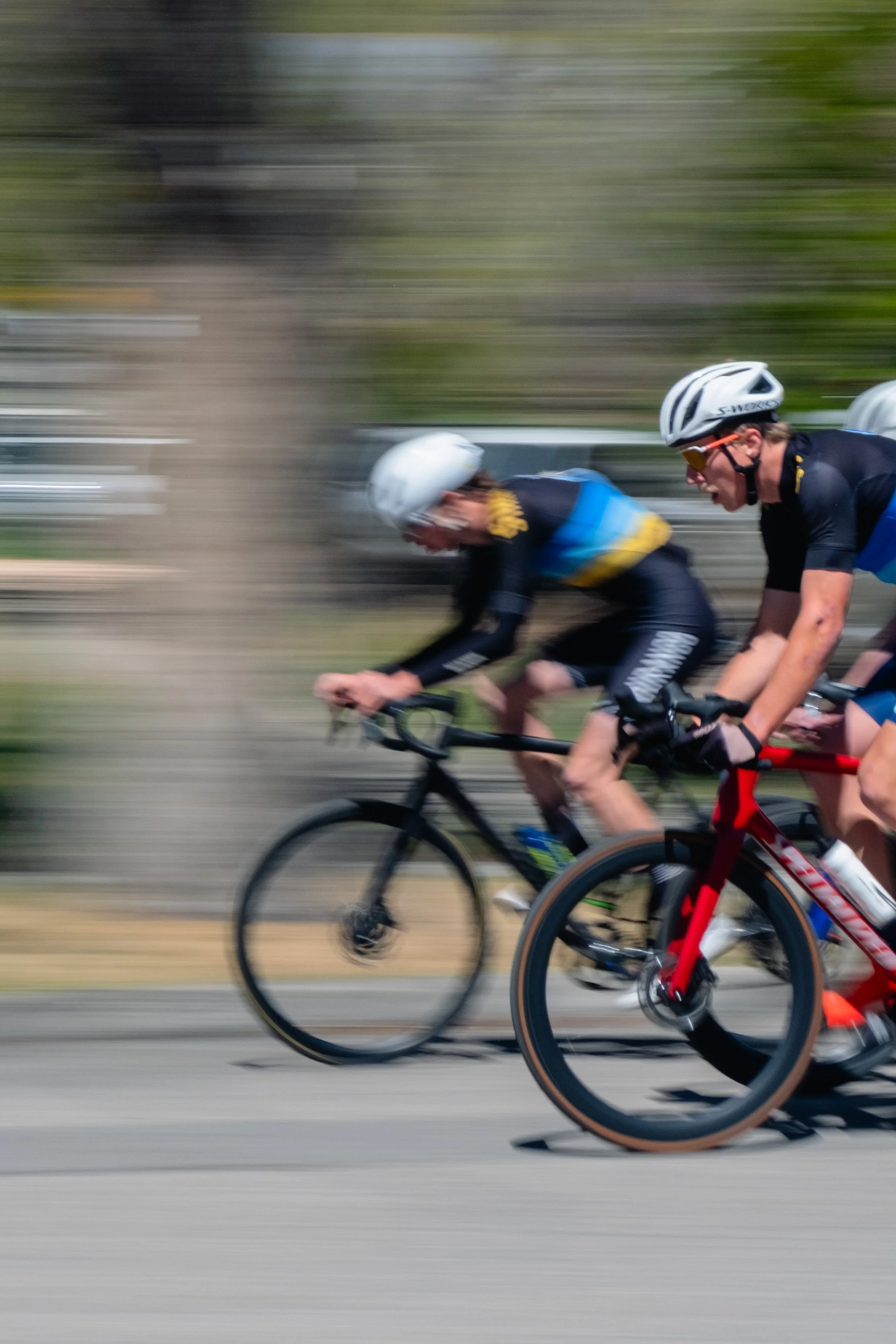 SQUAWKER CRIT 2026-46.jpg