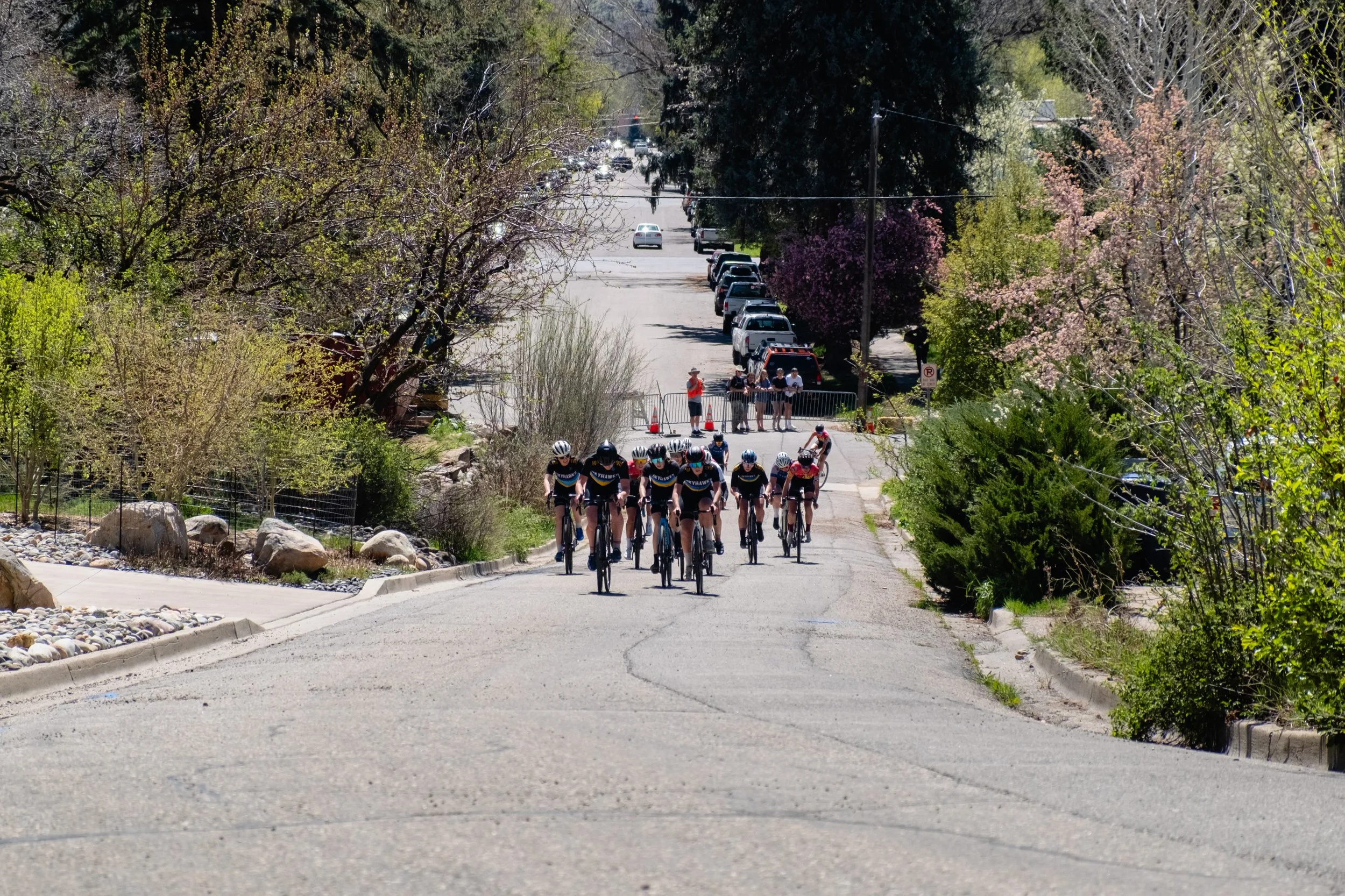 SQUAWKER CRIT 2026-19.jpg