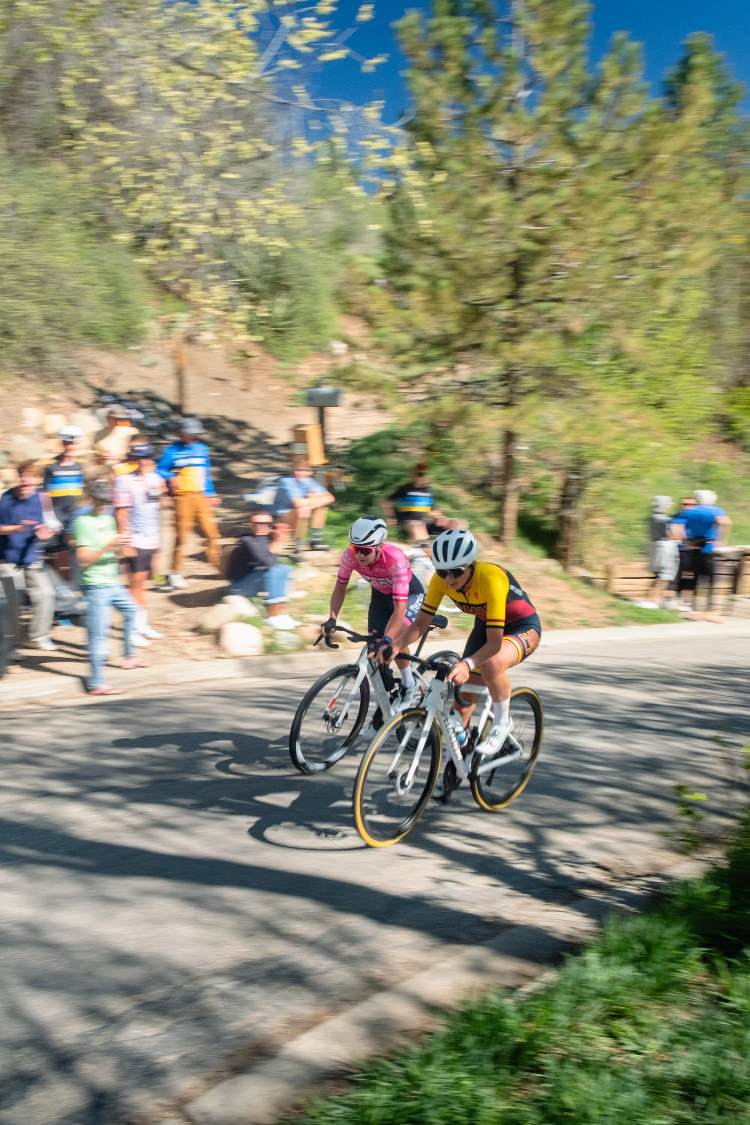 SQUAWKER CRIT 2026-92.jpg