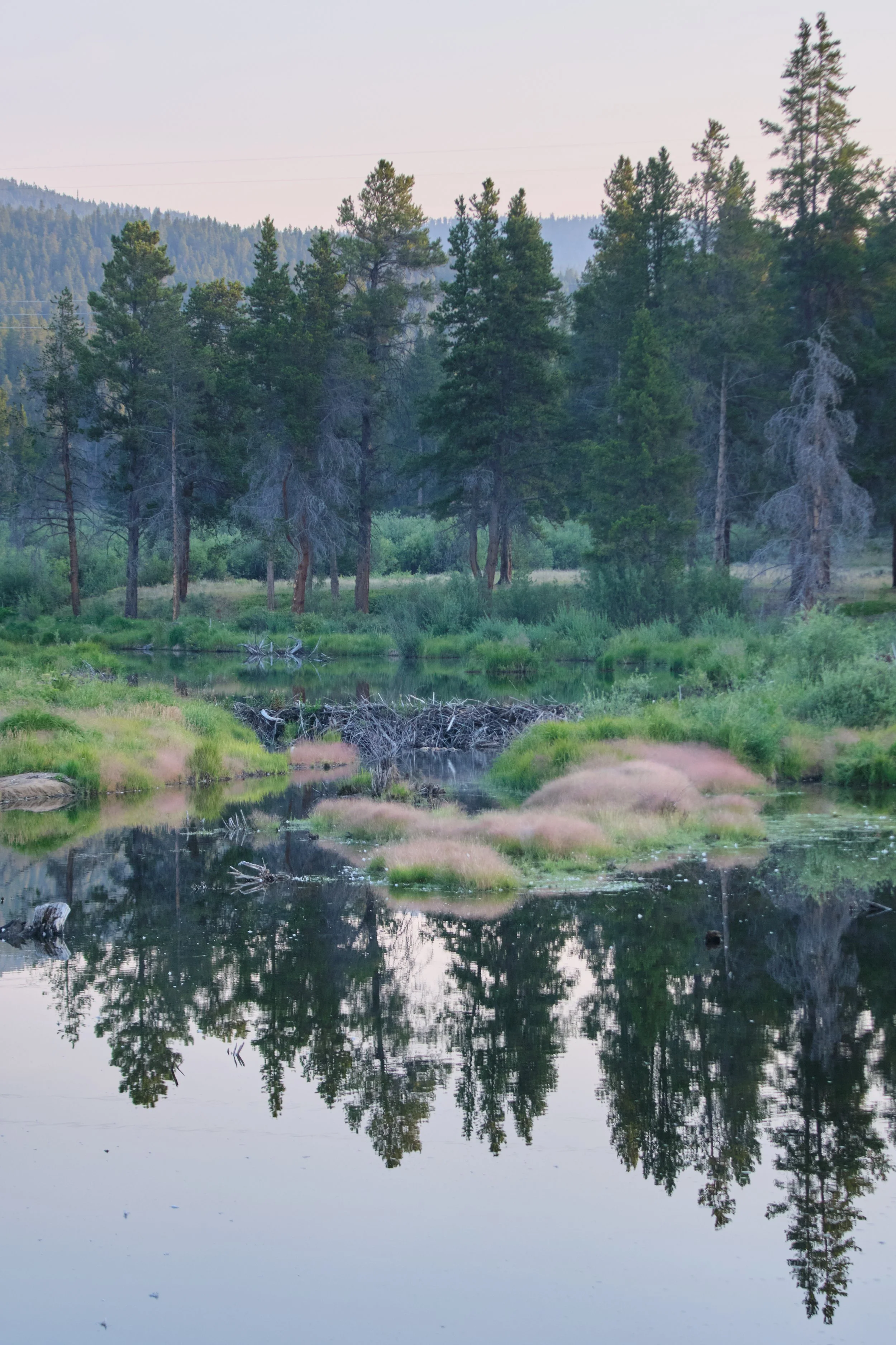 Leadville.2025 5.jpg