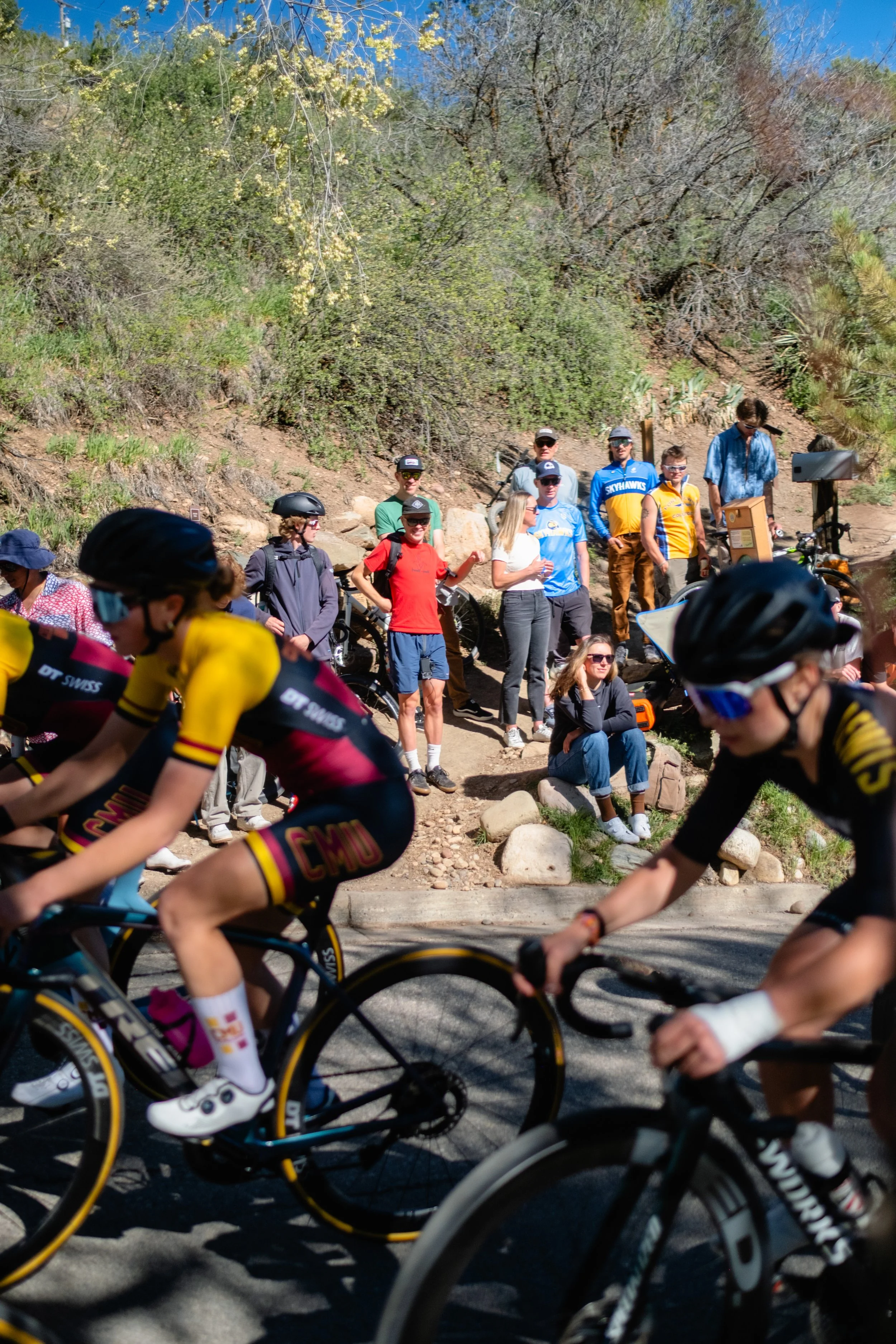 SQUAWKER CRIT 2026-102.jpg