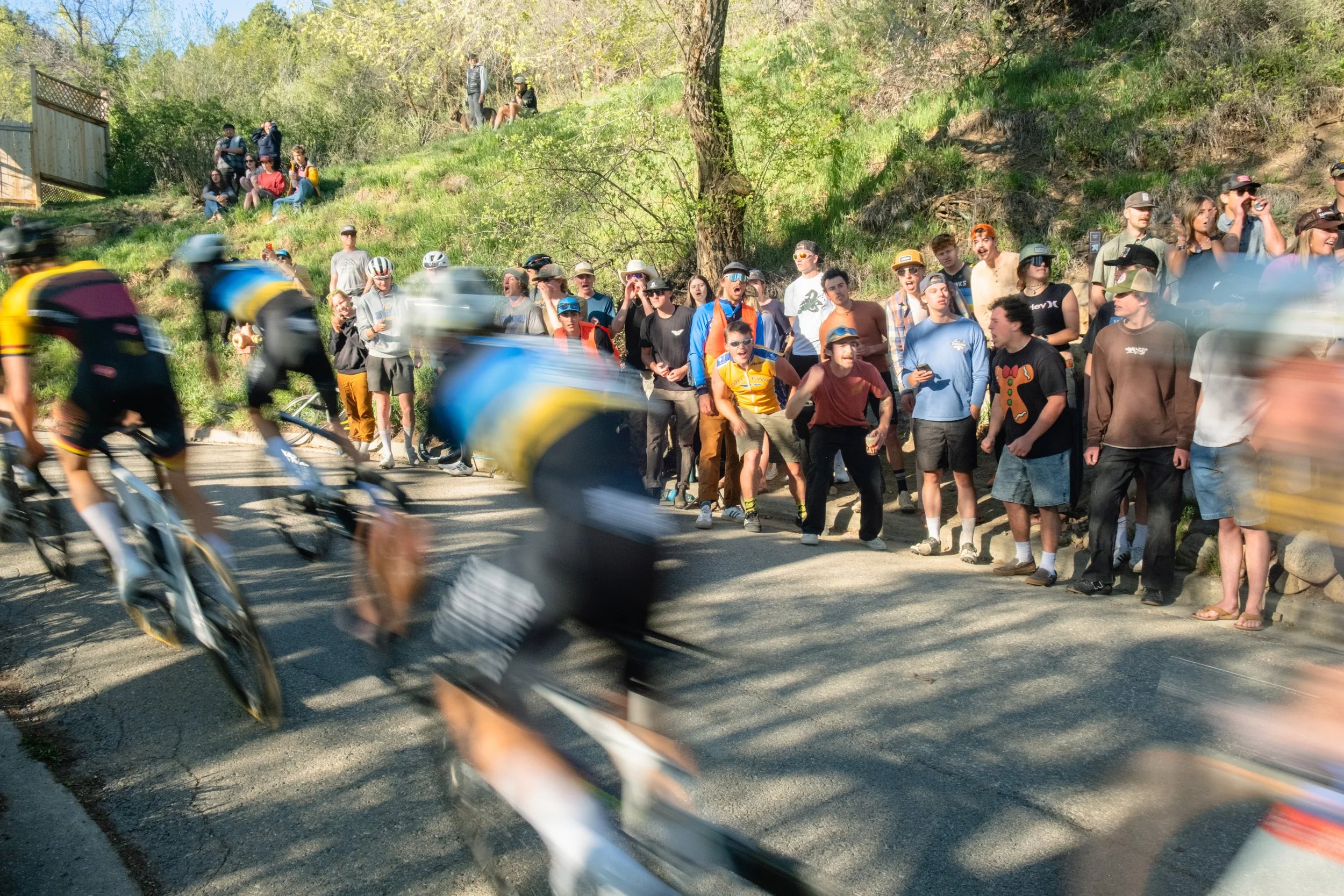 SQUAWKER CRIT 2026-173.jpg