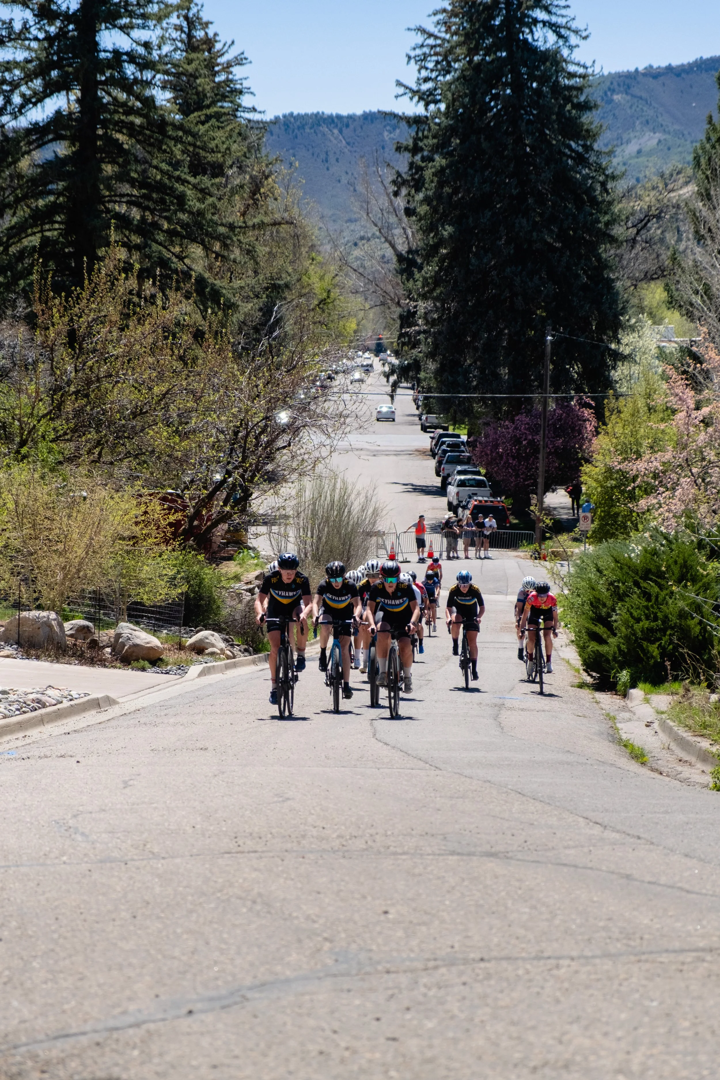 SQUAWKER CRIT 2026-20.jpg