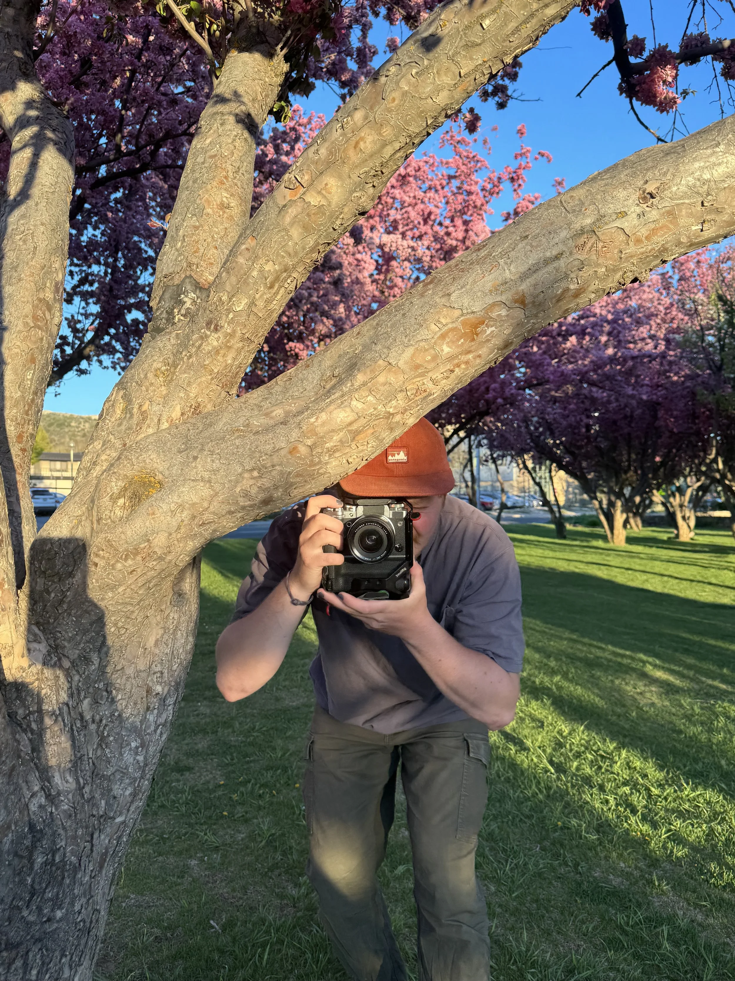 Person taking a photo in a park with pink blooming trees, wearing a brown hat and gray shirt.