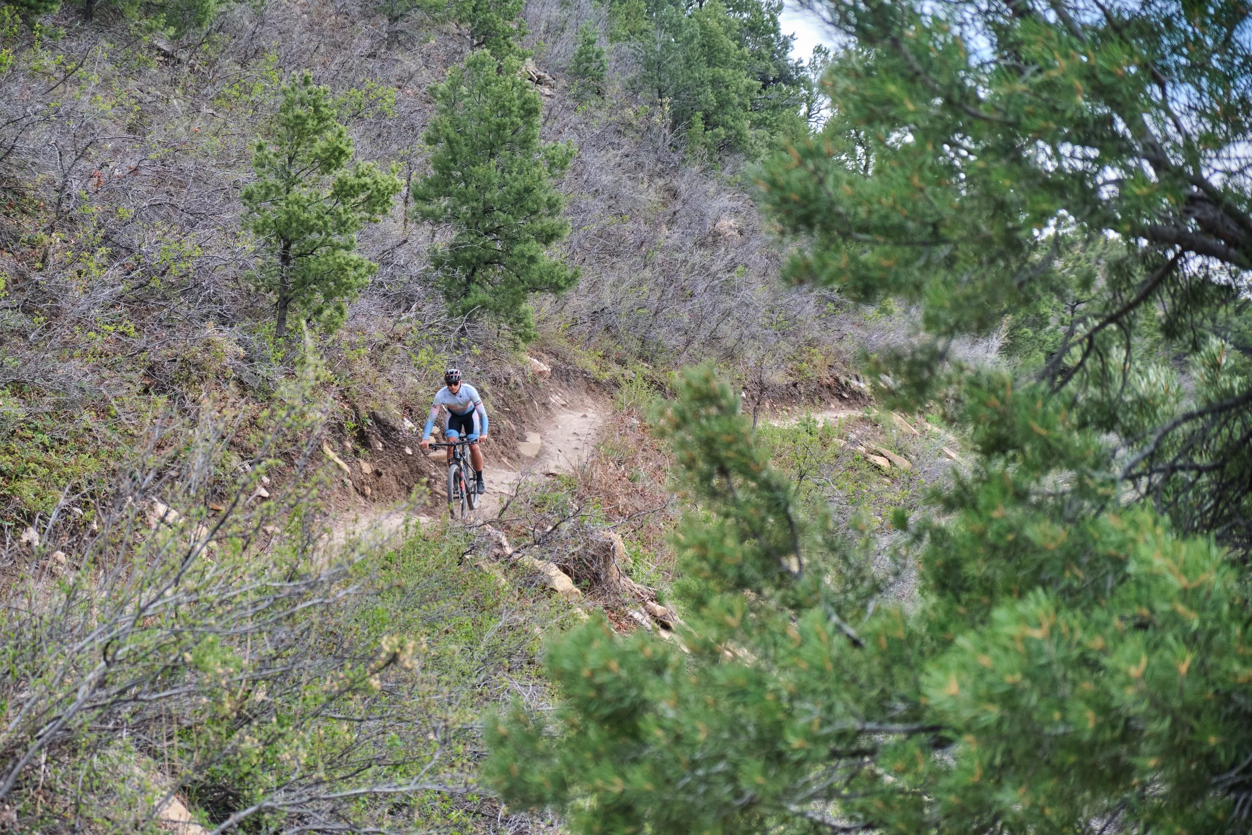A person riding a mountain bike along a dirt trail in a wooded area with dense green trees and shrubs. Rim trail, durango Colorado. Fort Lewis College cycling. Jacob Hora, pivot cycles. A photo taken by Beck Farrell in Durango, Colorado. 