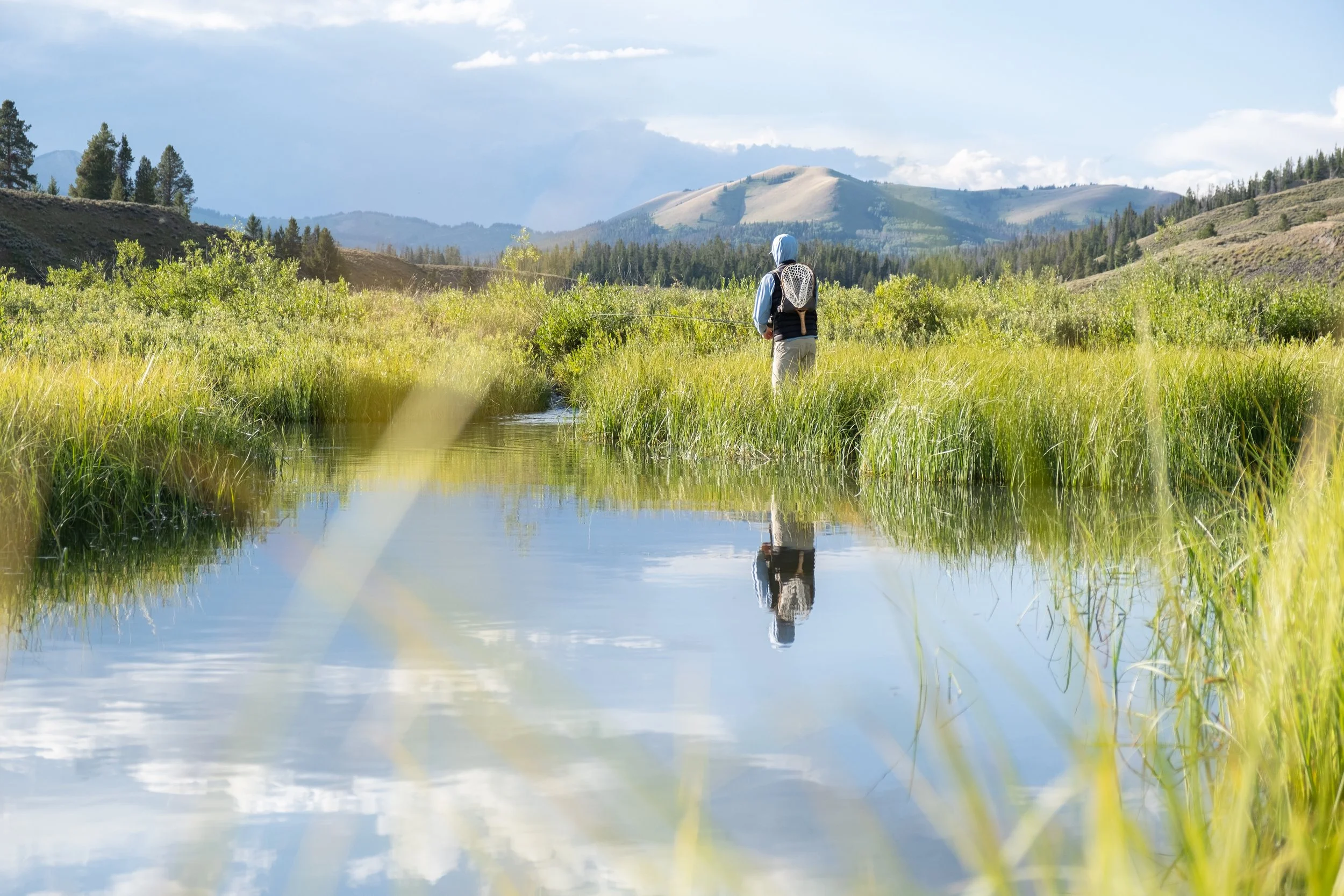 A person with a backpack is standing in a small pond surrounded by green grass and shrubs, with mountains and a blue sky with clouds in the background. fly fishing Wyoming