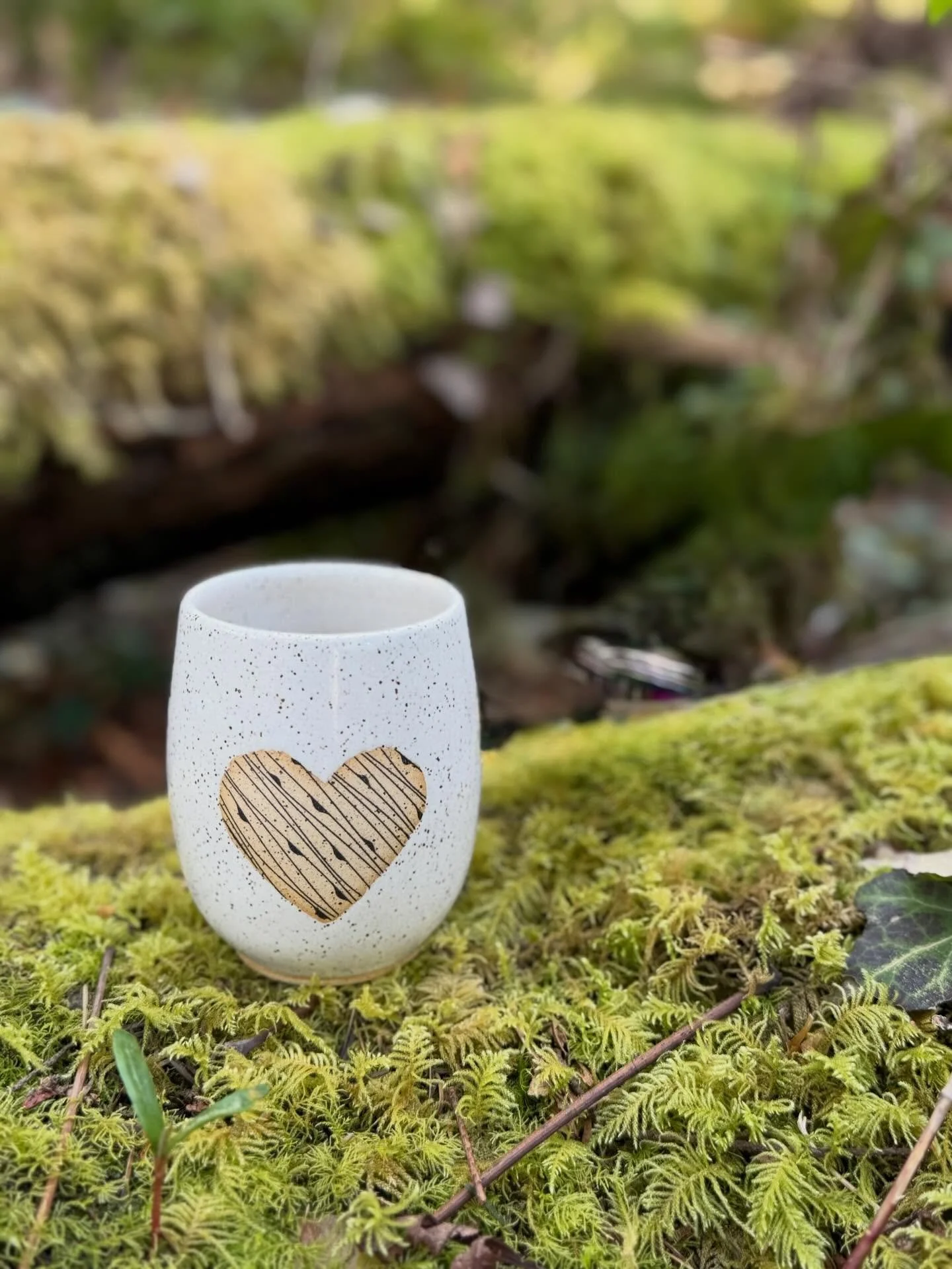 I had leg surgery at the beginning of the month and have been mostly off my feet since. Thankfully, I&rsquo;d thrown and glazed a good batch of pots beforehand, and I managed a short walk into the woods behind my home to capture a few photos.  This h