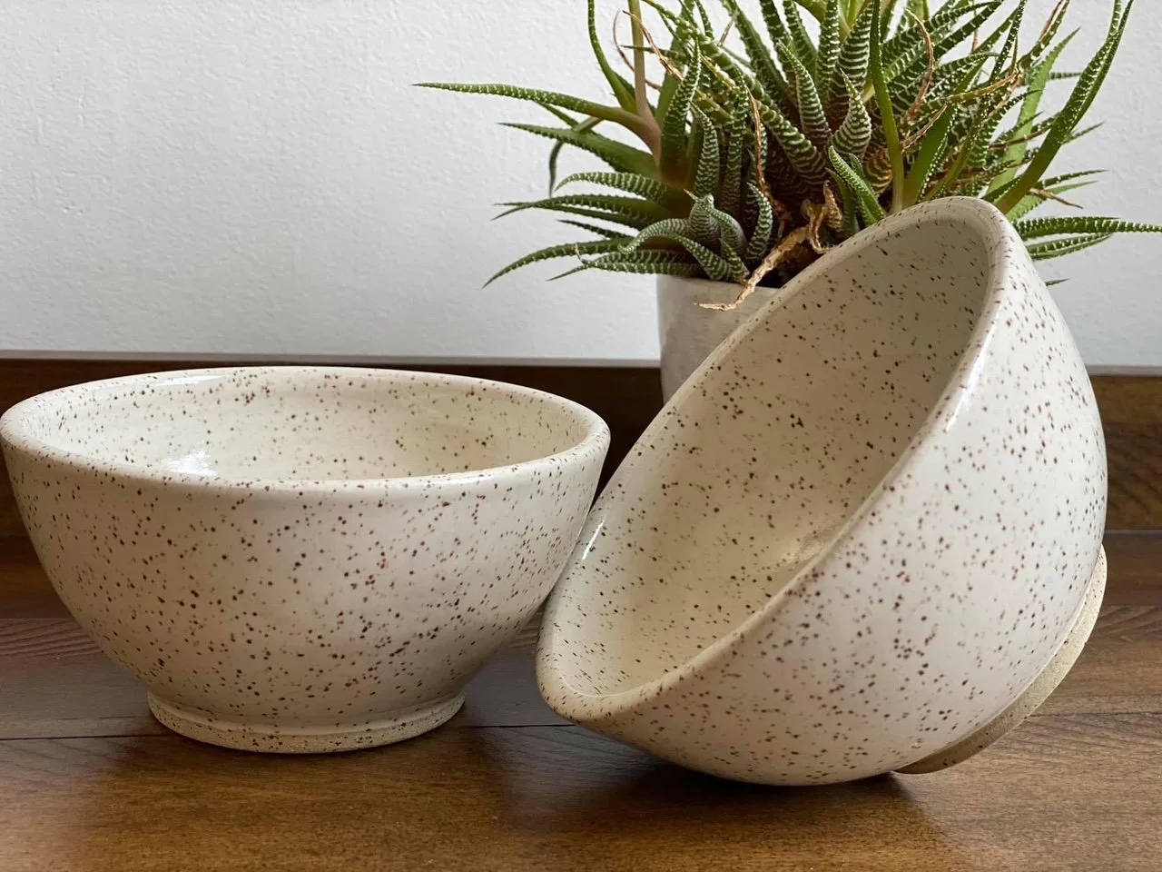Two speckled ceramic bowls, one upright and the other tilted, on a wooden surface with a potted succulent plant in the background. Sonia Lesage Ceramics