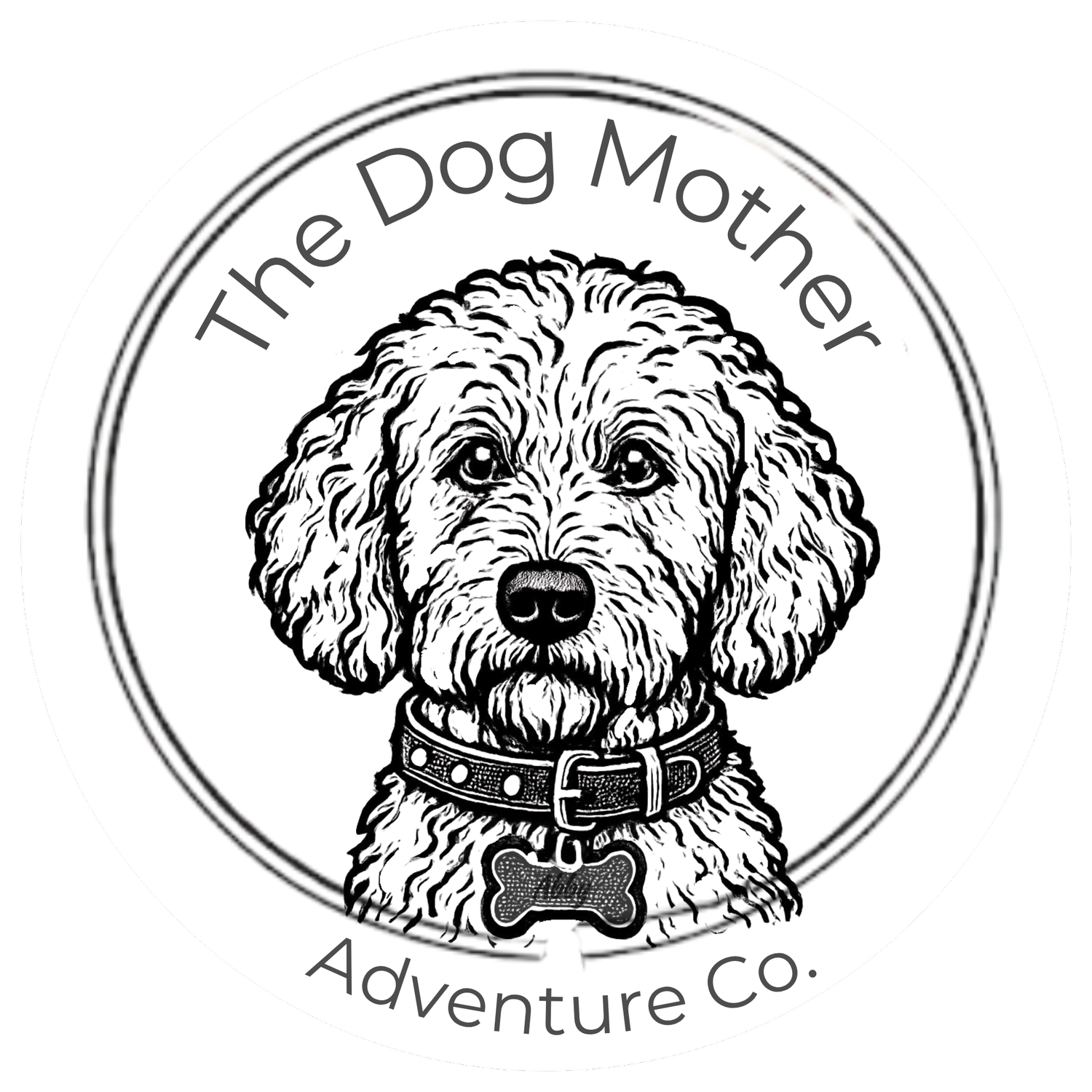 The Dog Mother Adventure Co.
