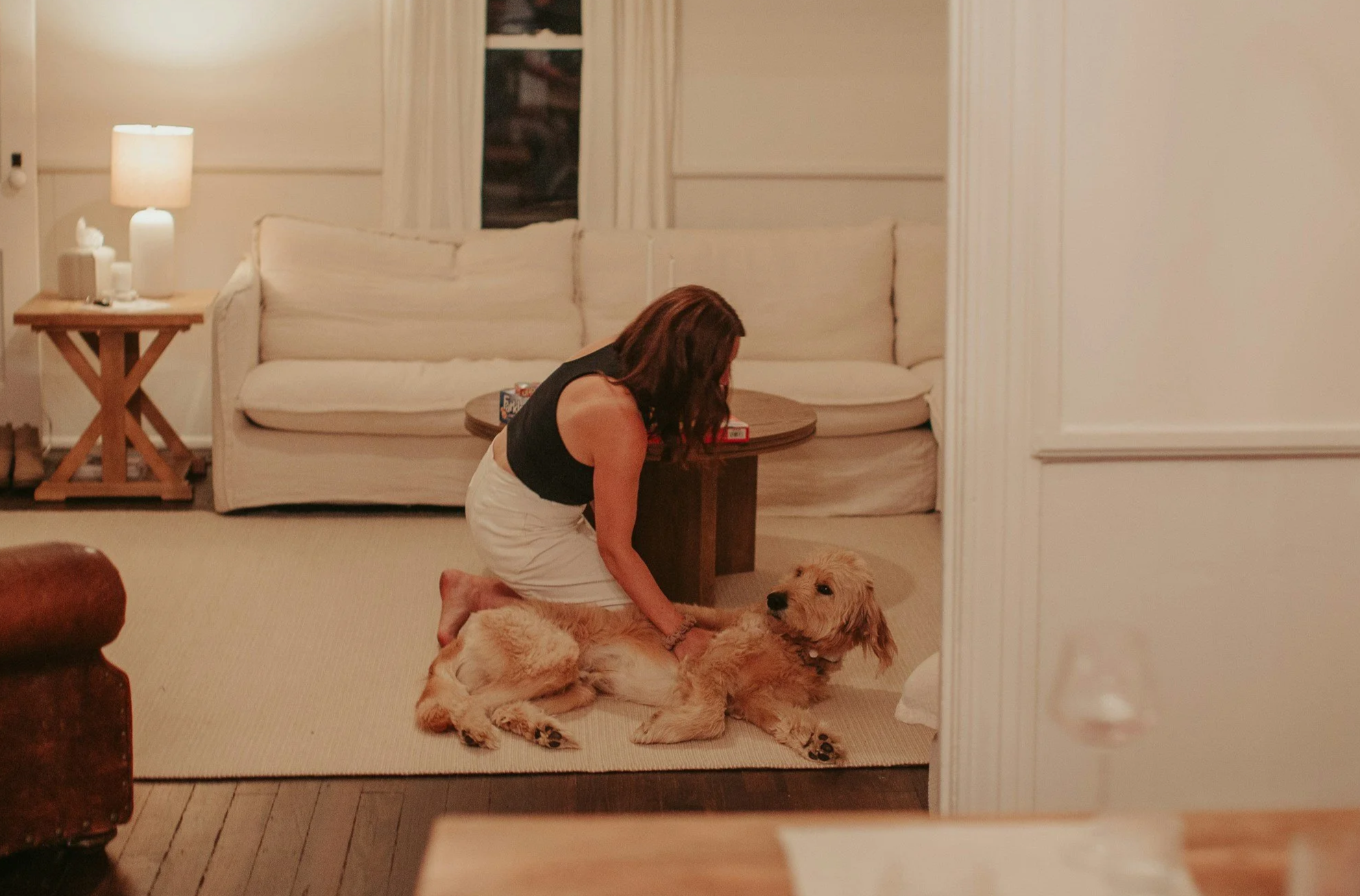 Dog sitting in home