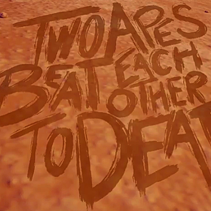 Two Apes Beat Each Other to Death