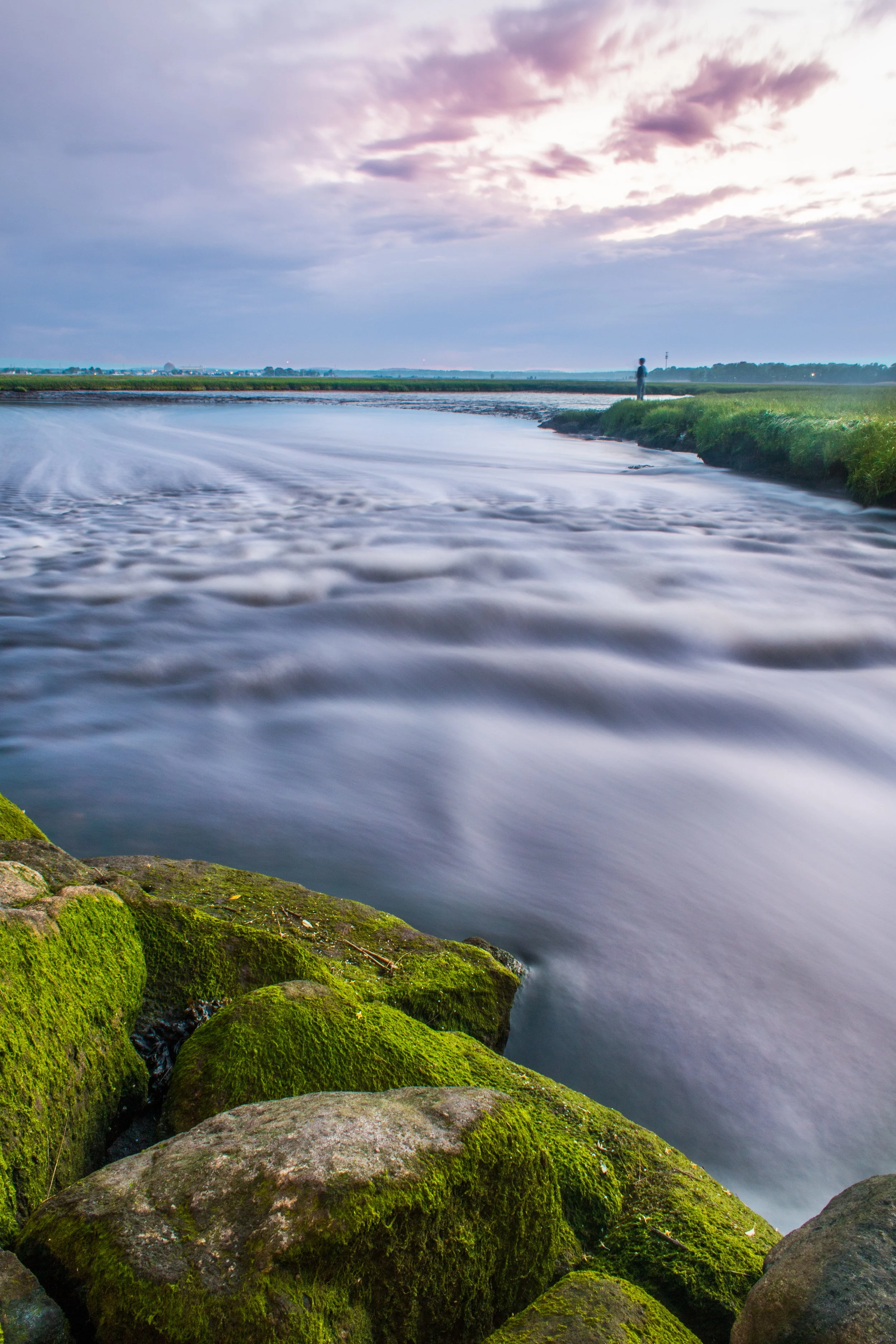 Post Storm Fish on Marsh 1.jpg