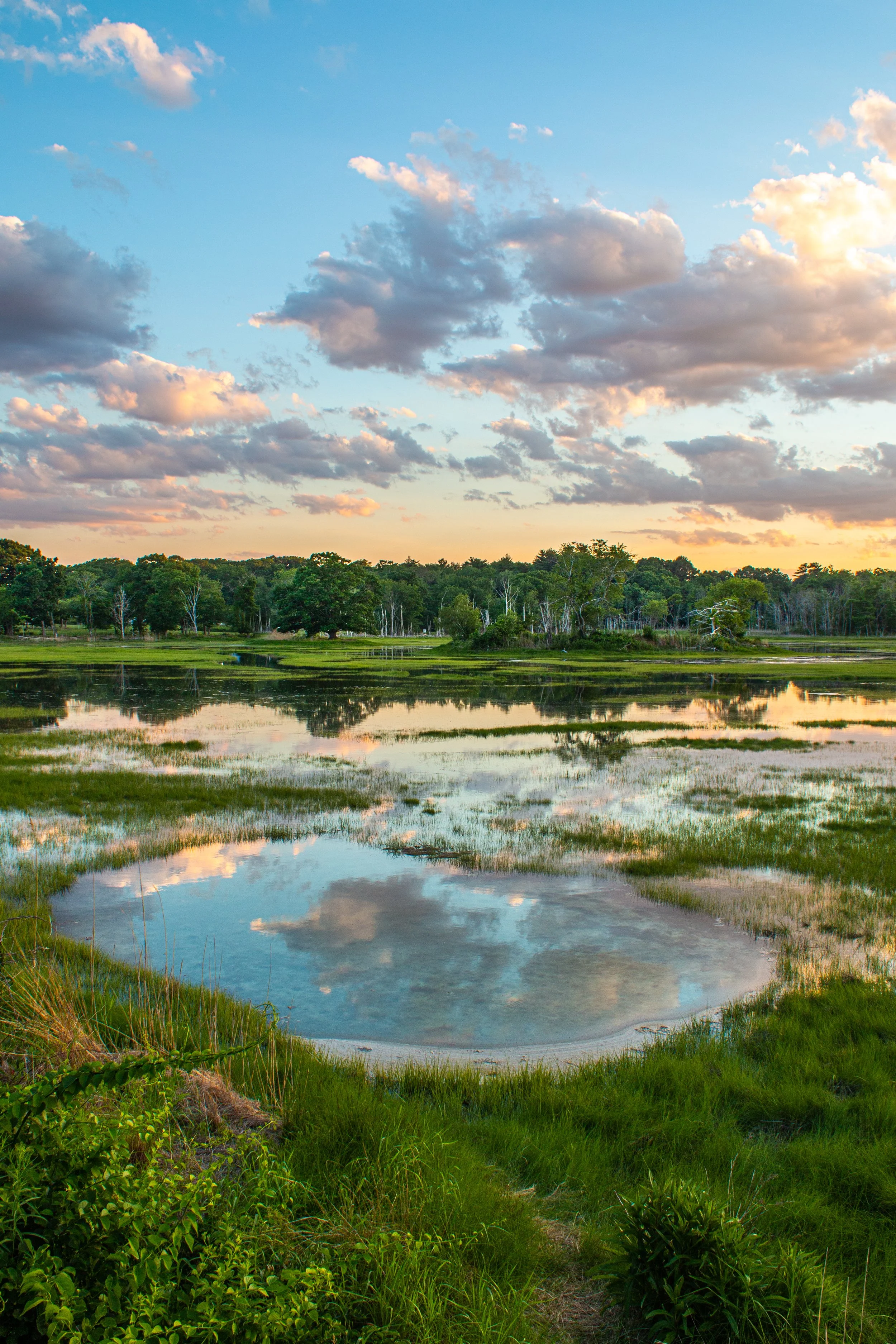 Evening Marsh.jpg