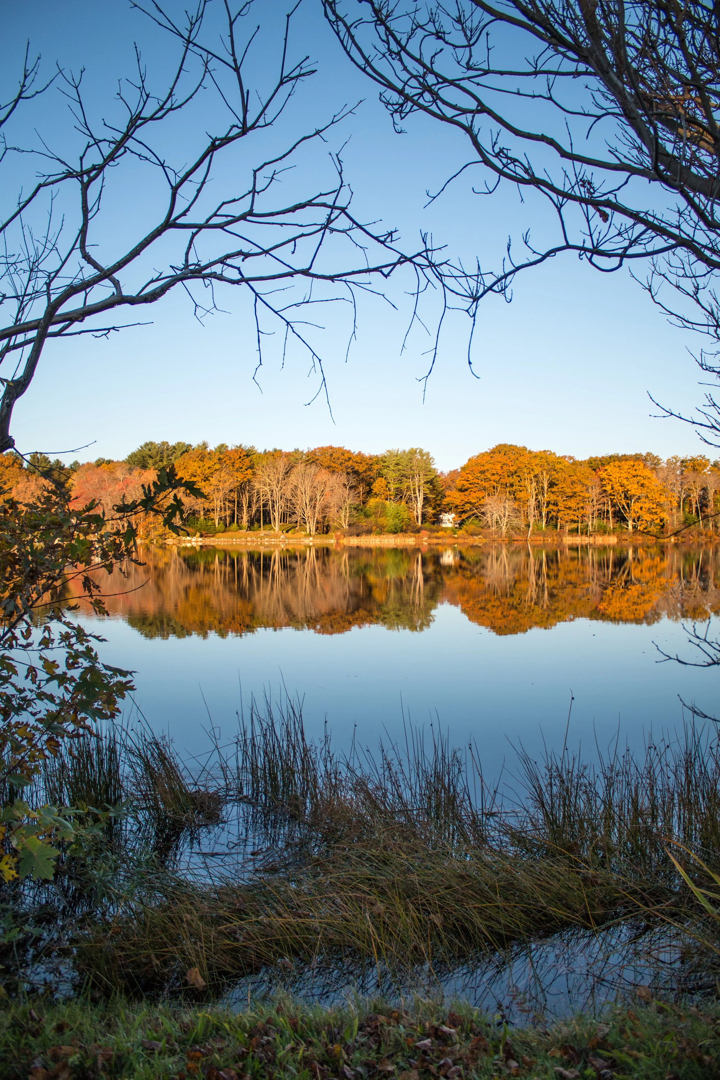 Swan Pond Branch Heart_.jpg