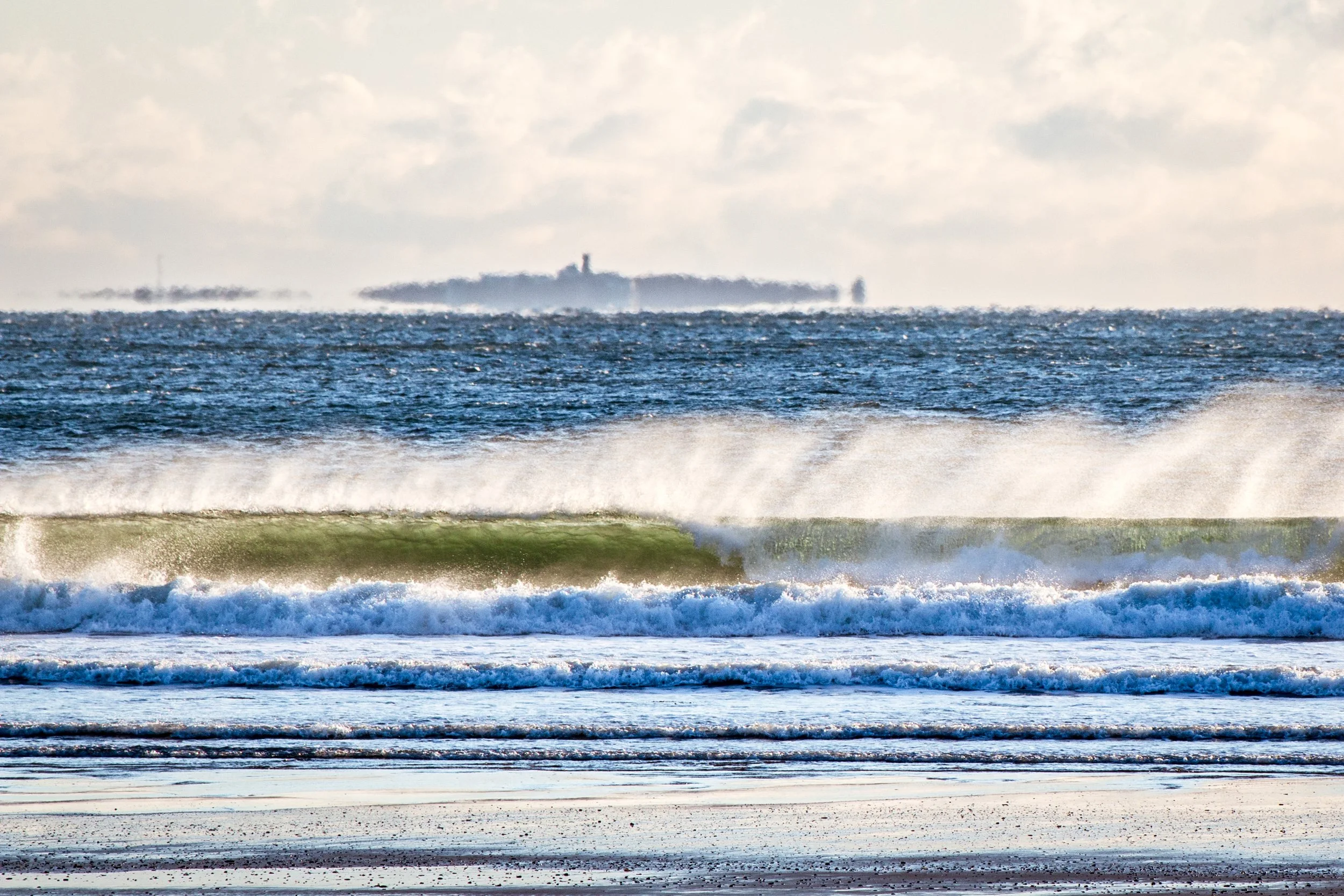 Knee High Windy and Cold.jpg