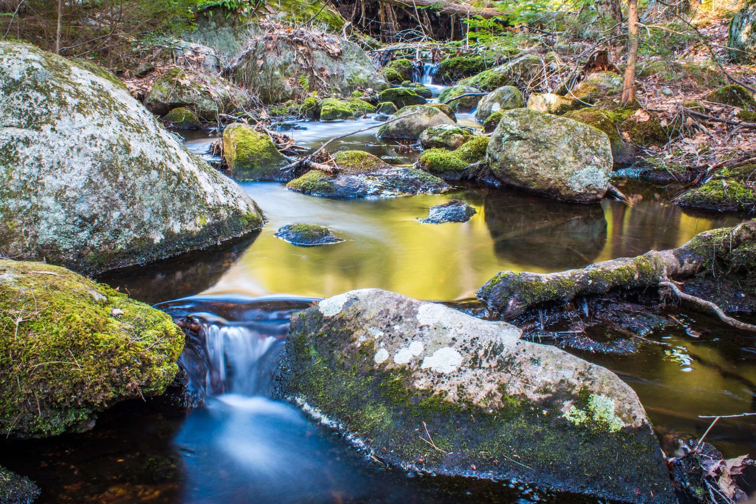 Pawtuckaway Creek LE.jpg
